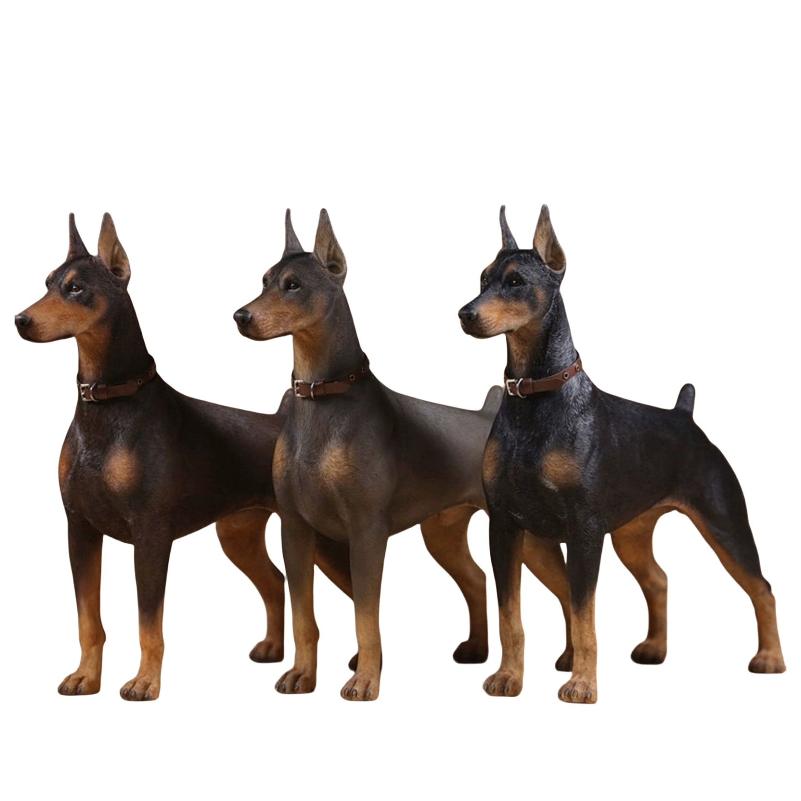 1/6 Dobermann Figure