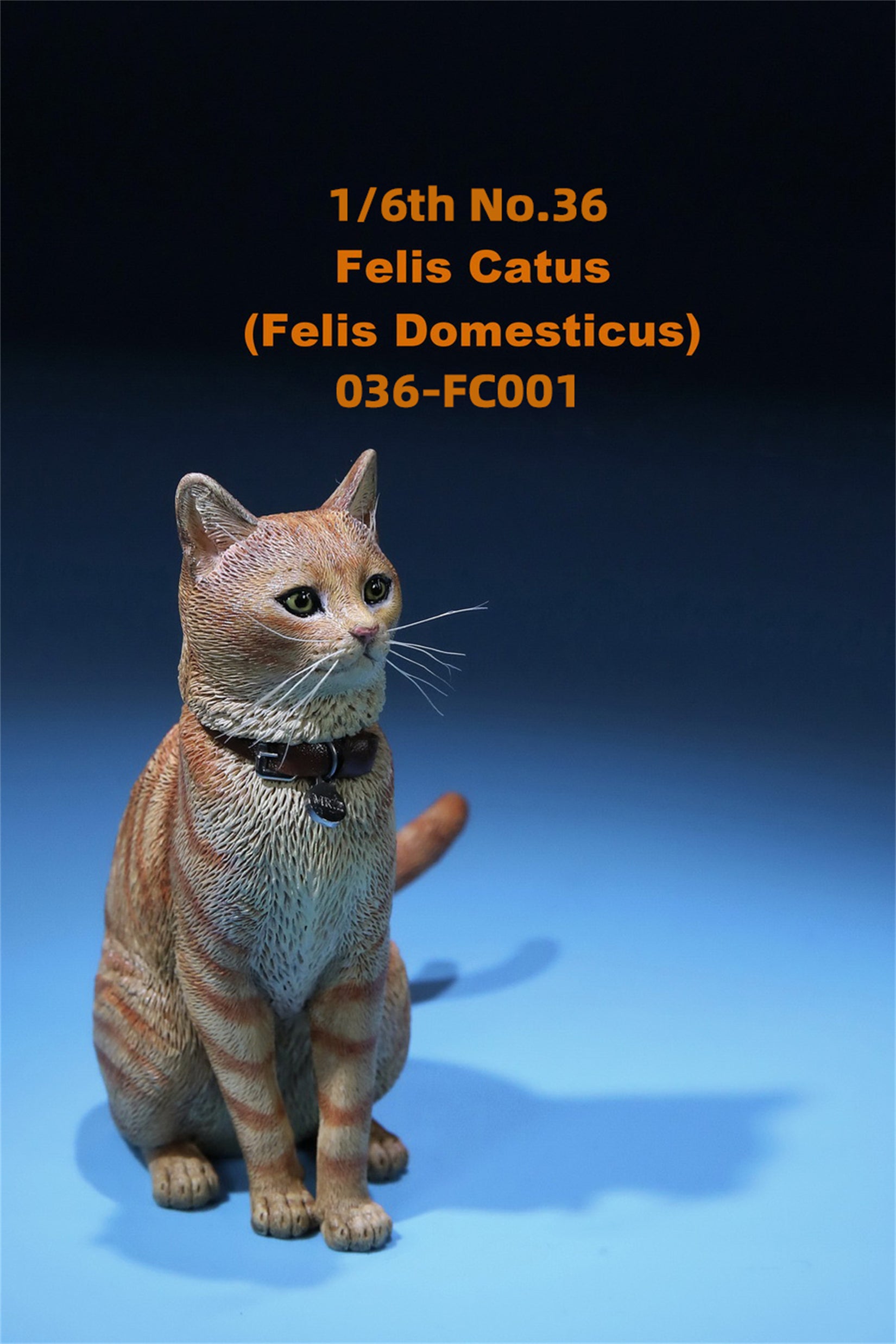 1/6 Domestic Cat Figure
