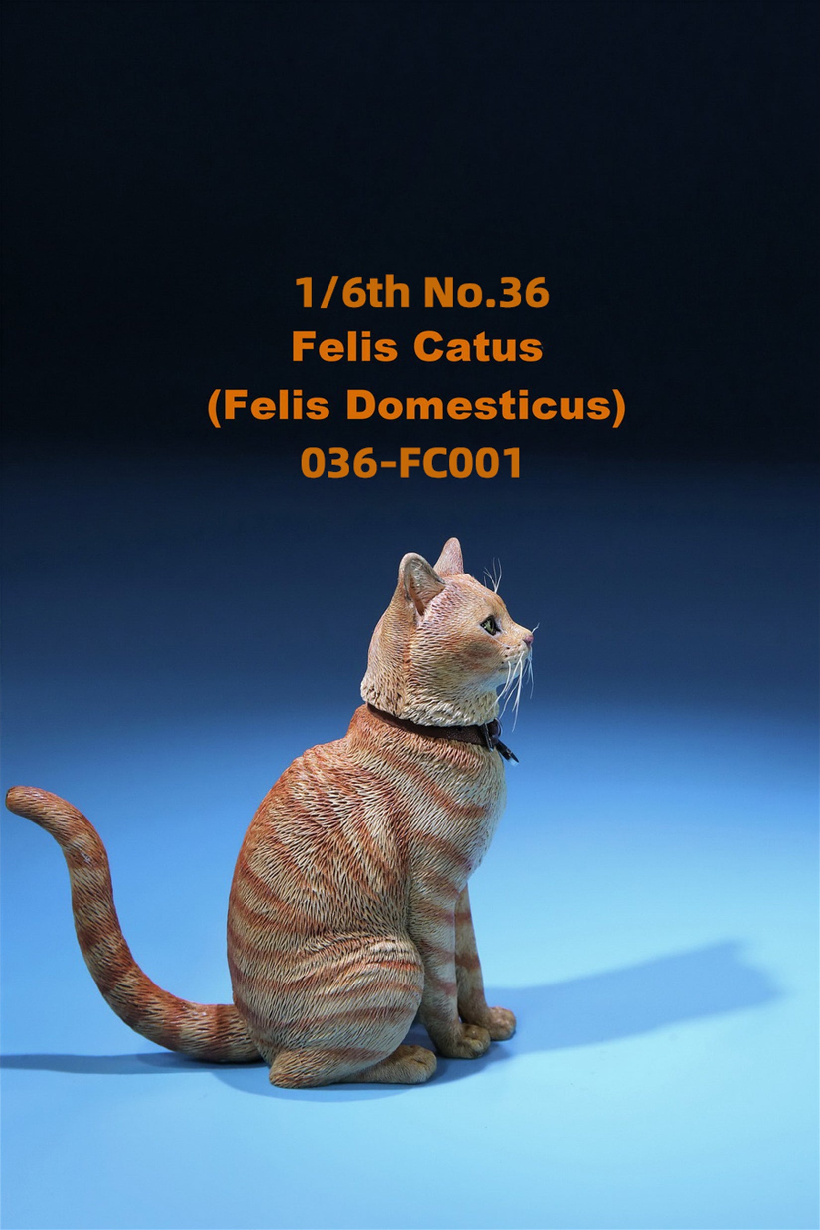 1/6 Domestic Cat Figure