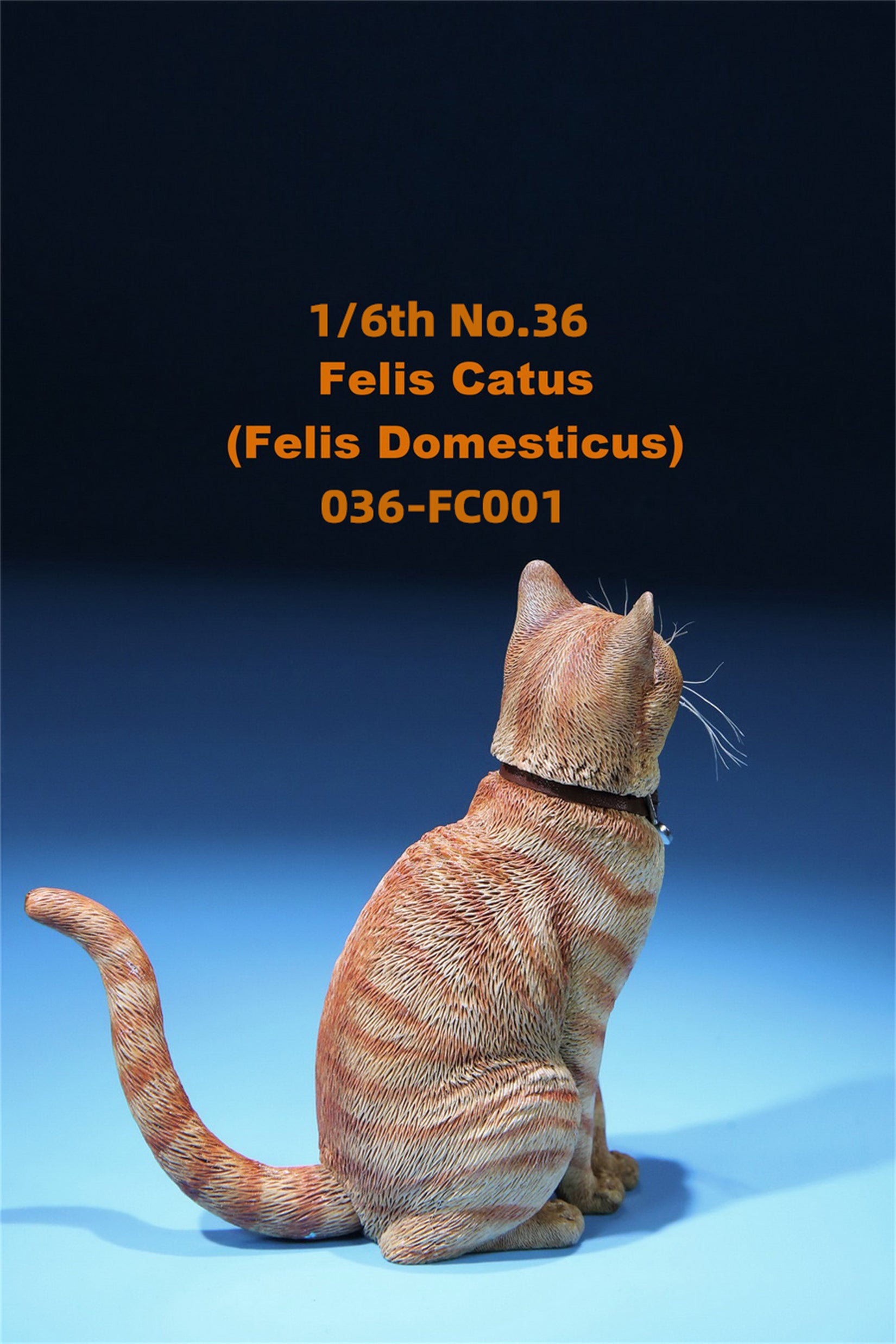 1/6 Domestic Cat Figure