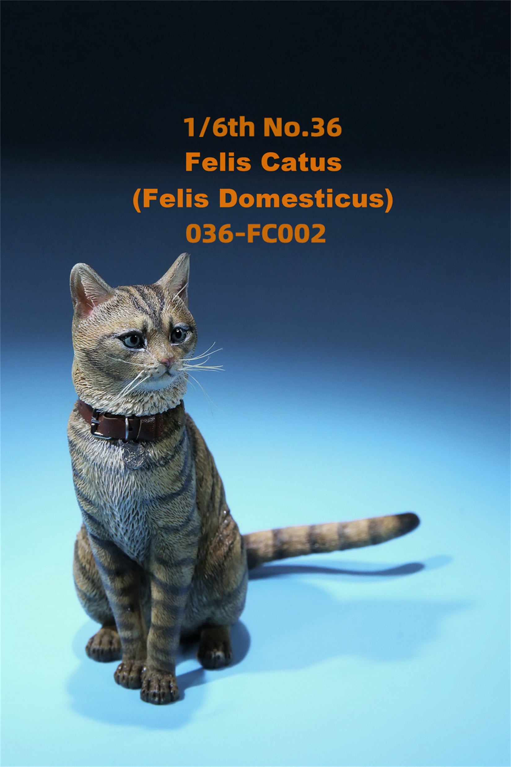 1/6 Domestic Cat Figure