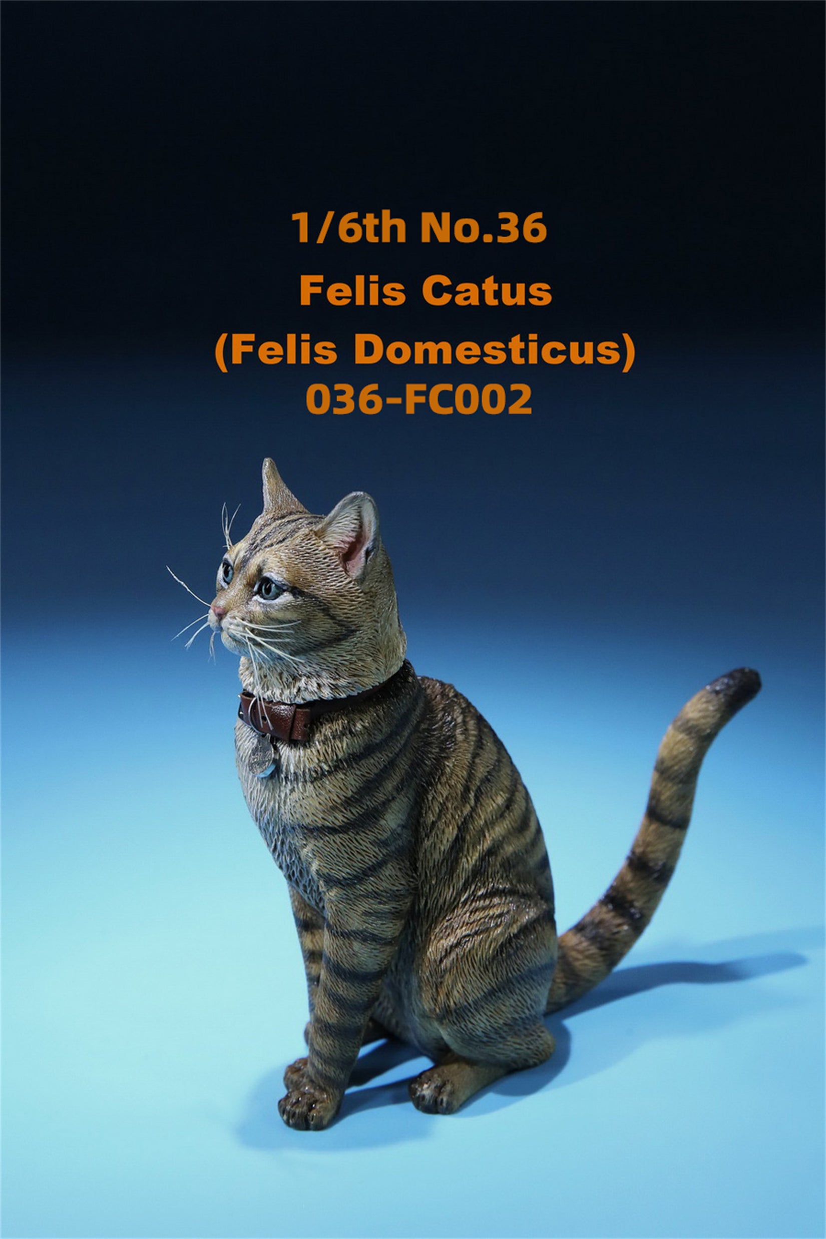 1/6 Domestic Cat Figure