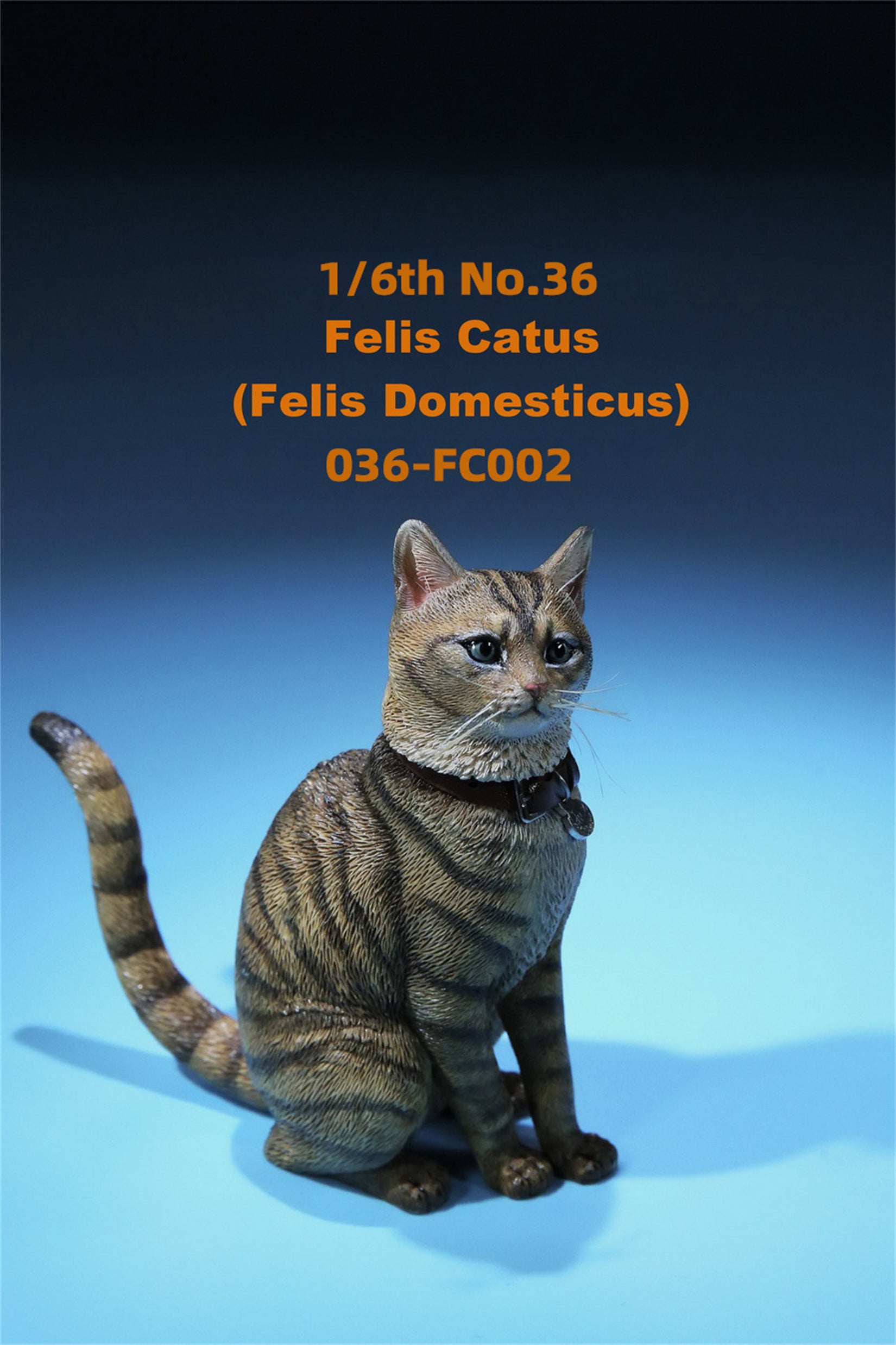 1/6 Domestic Cat Figure