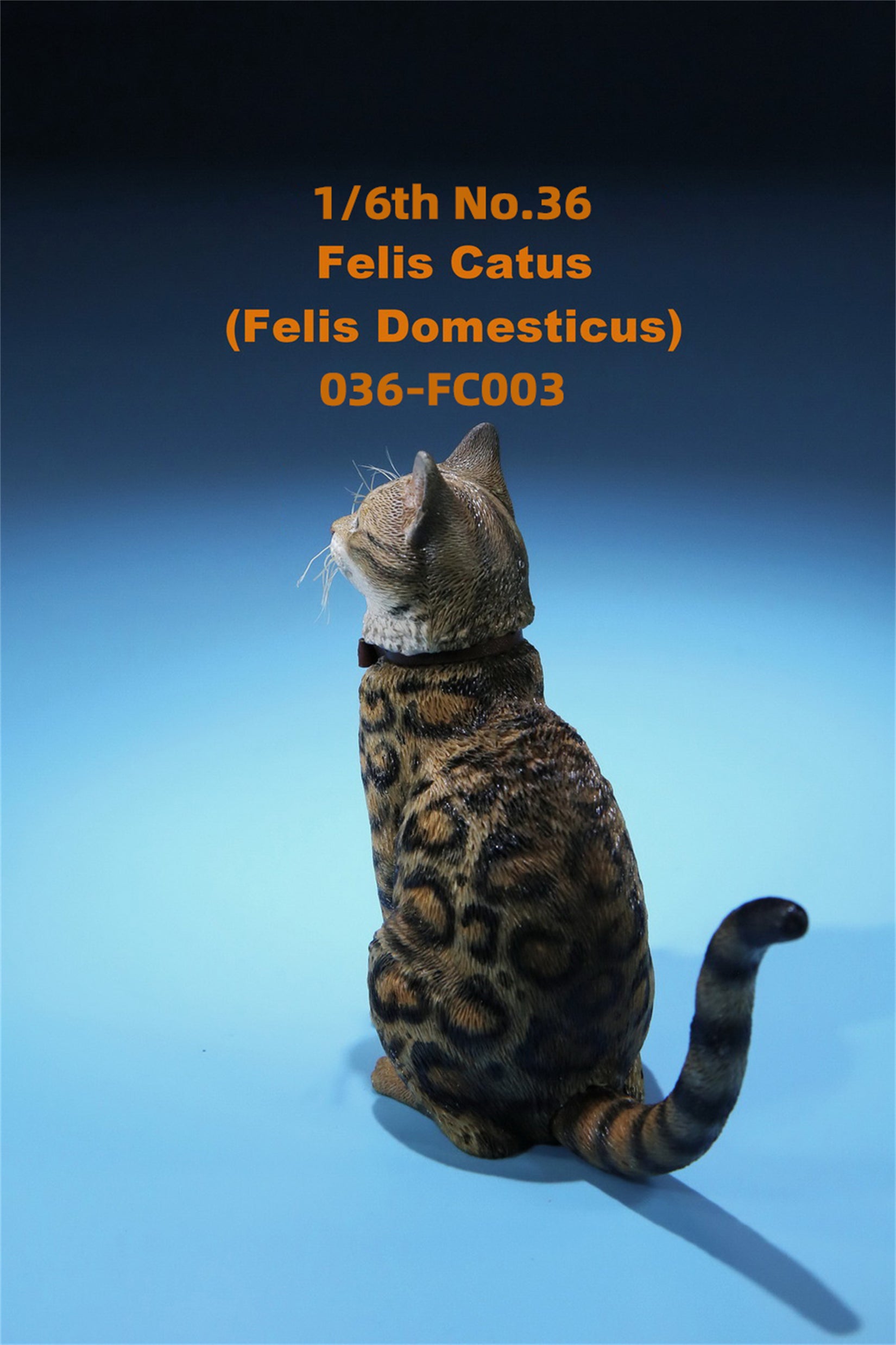 1/6 Domestic Cat Figure