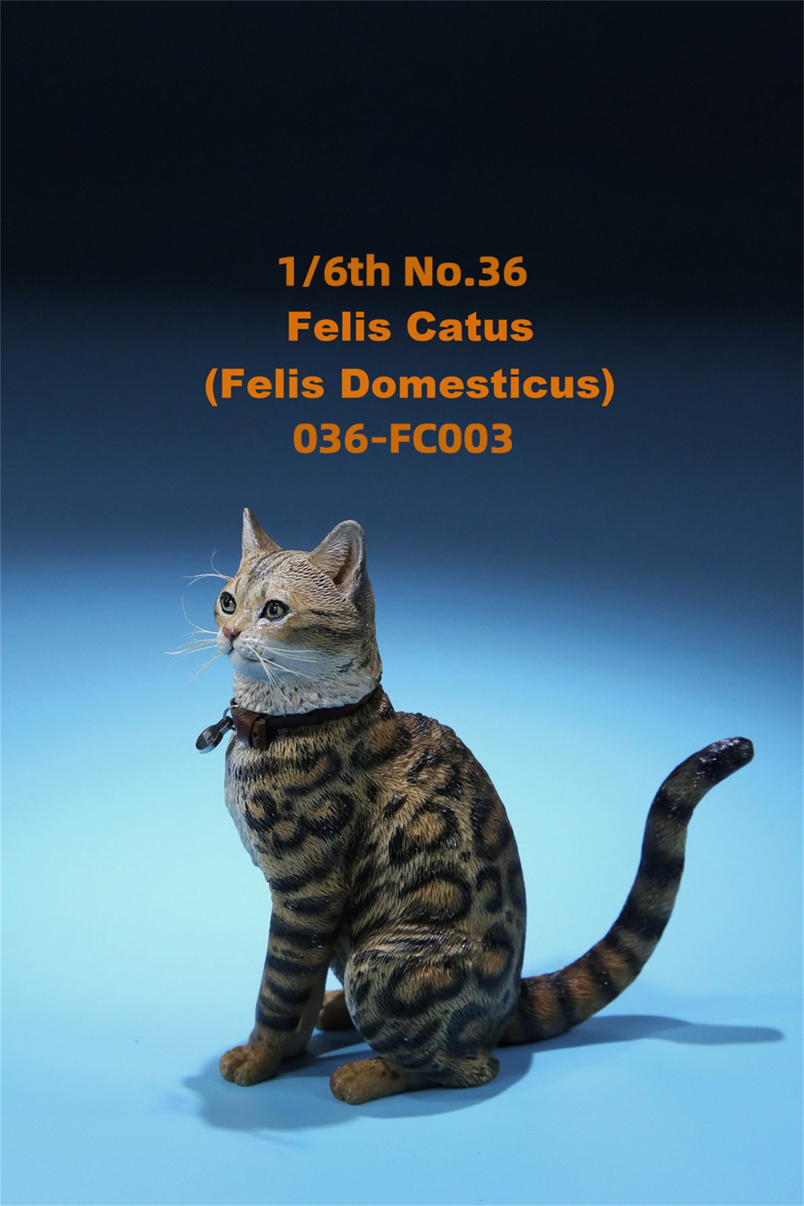 1/6 Domestic Cat Figure