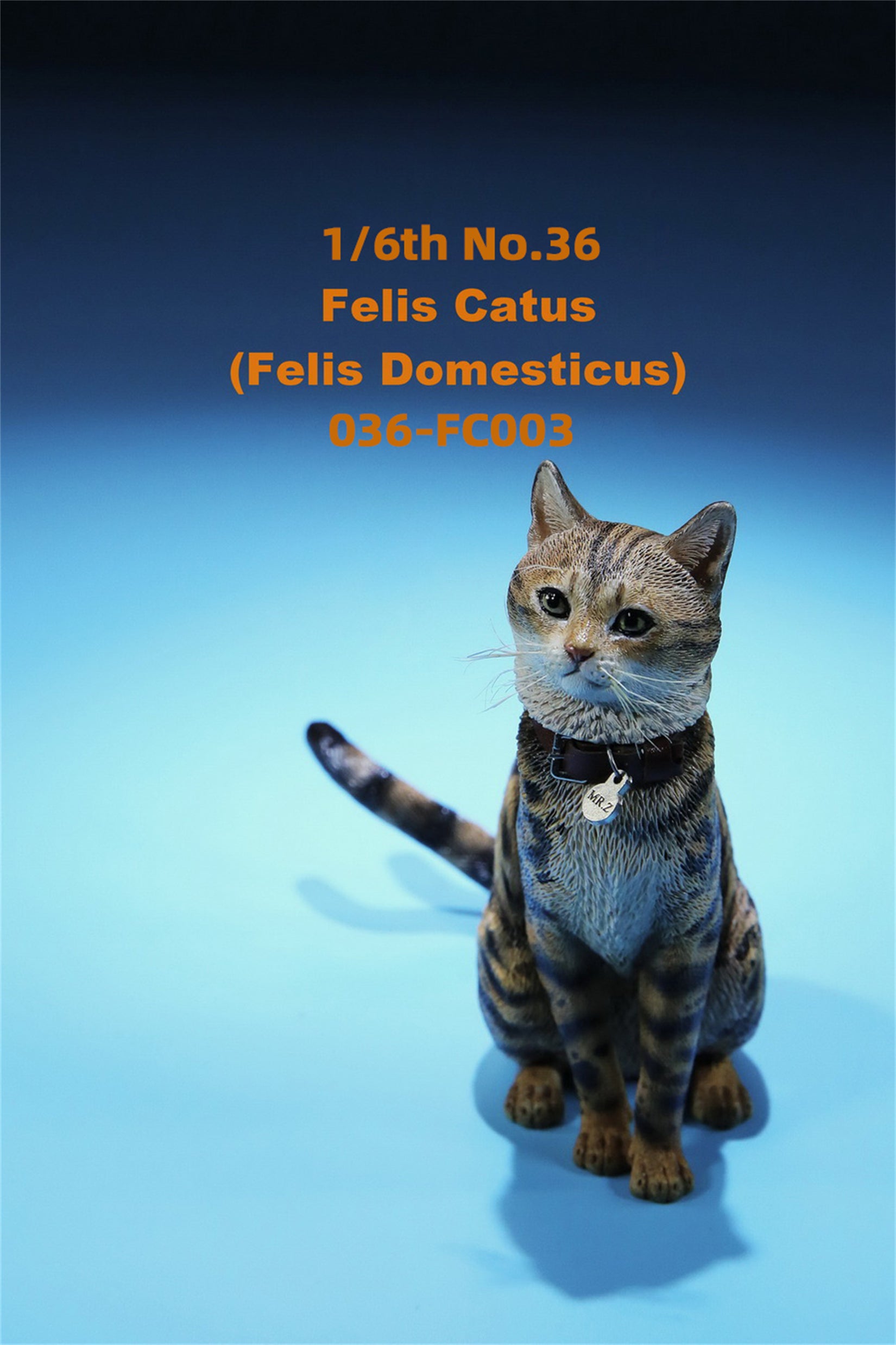 1/6 Domestic Cat Figure