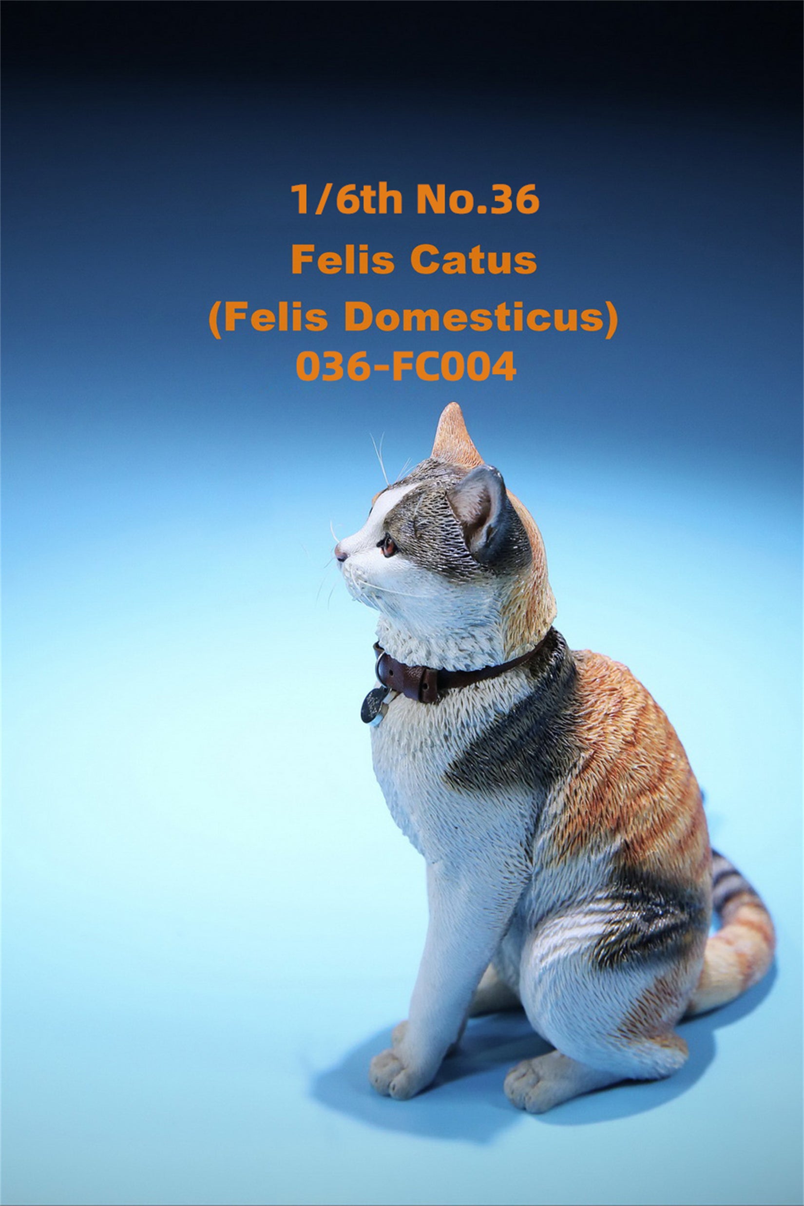 1/6 Domestic Cat Figure