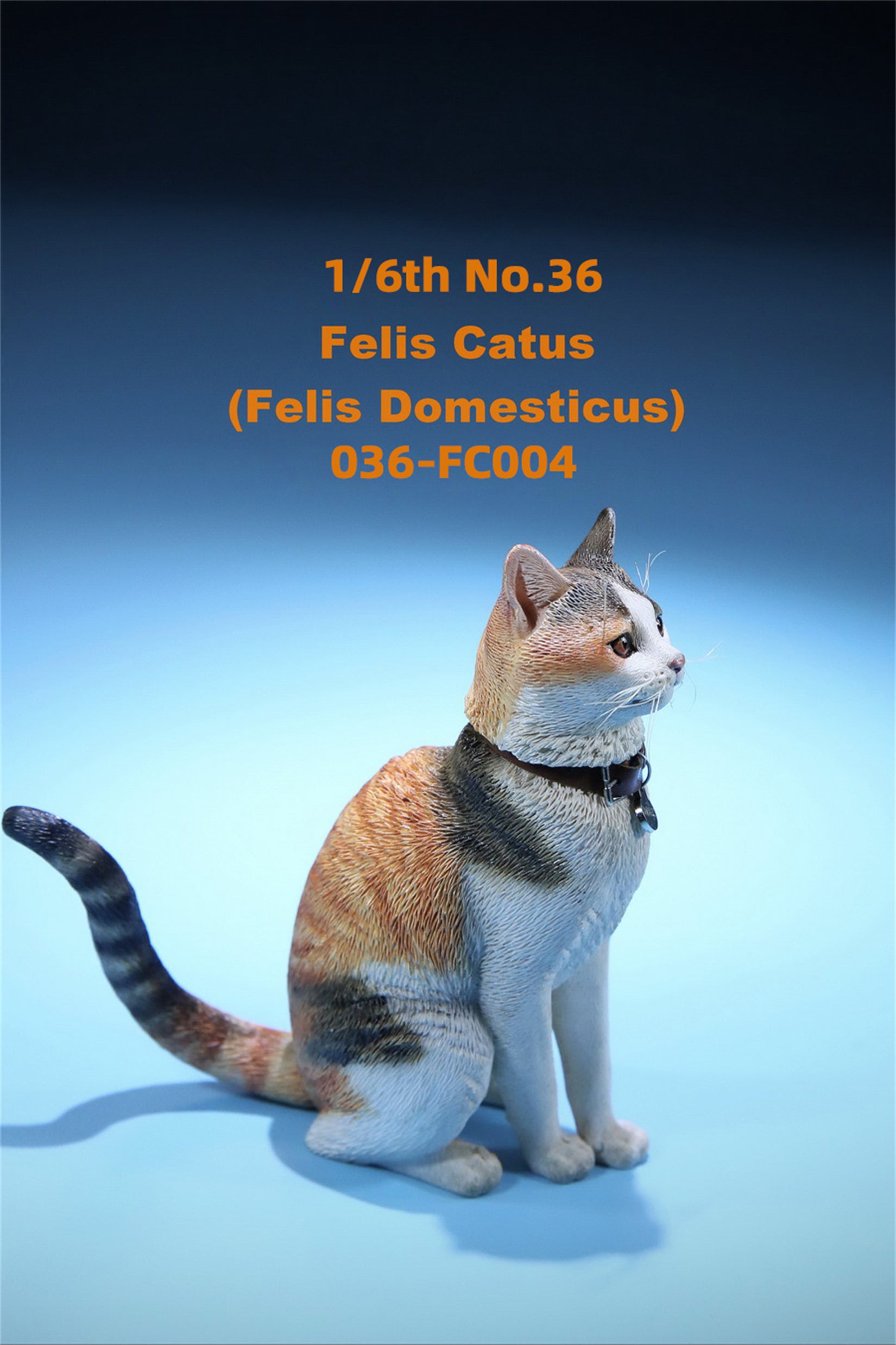 1/6 Domestic Cat Figure
