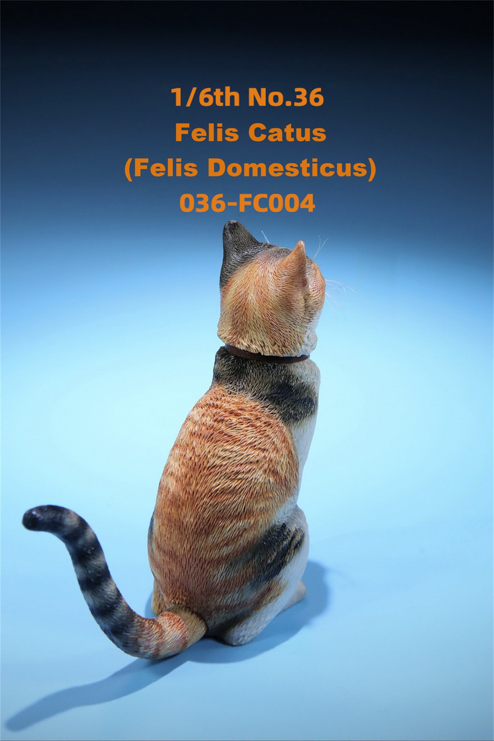 1/6 Domestic Cat Figure