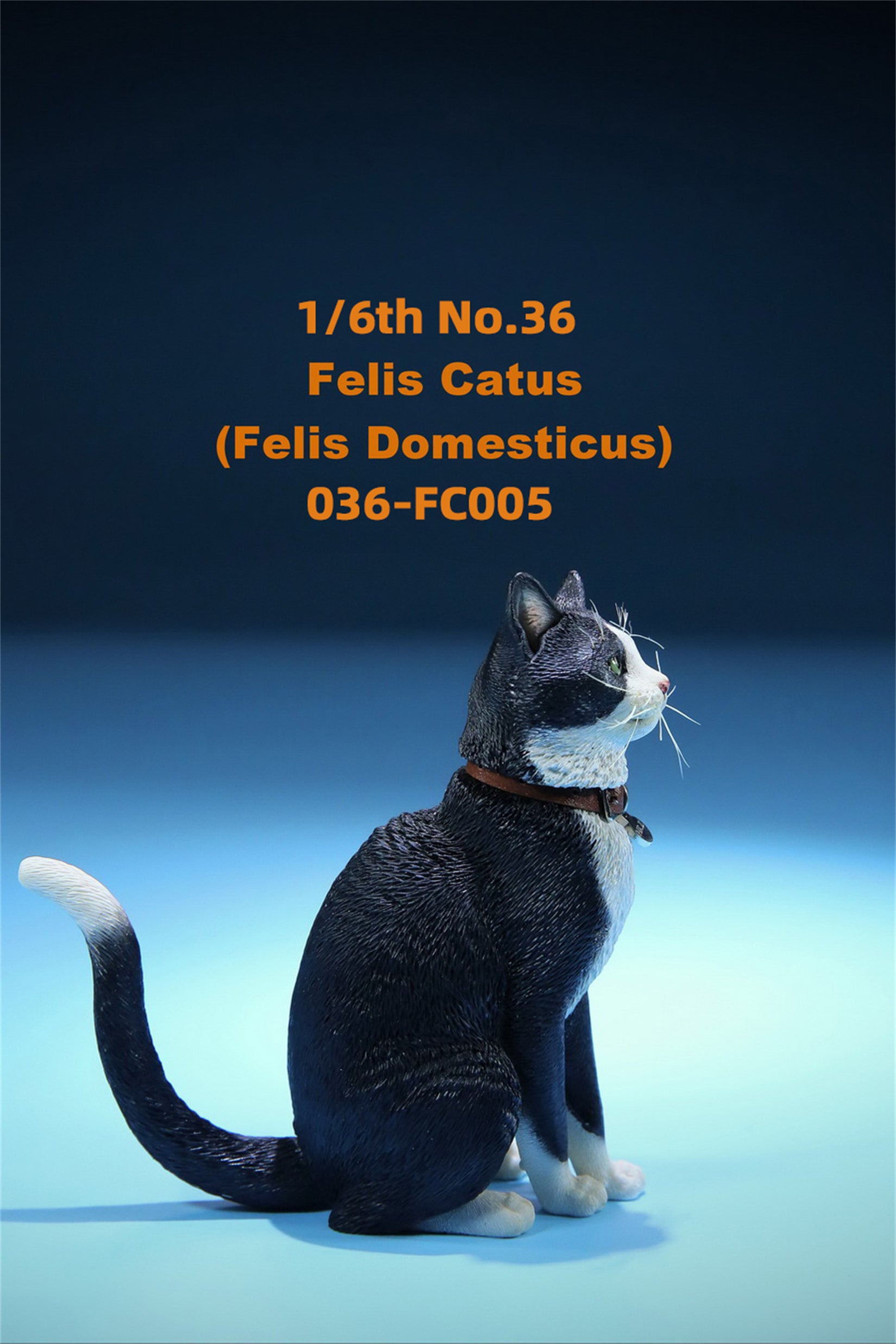 1/6 Domestic Cat Figure