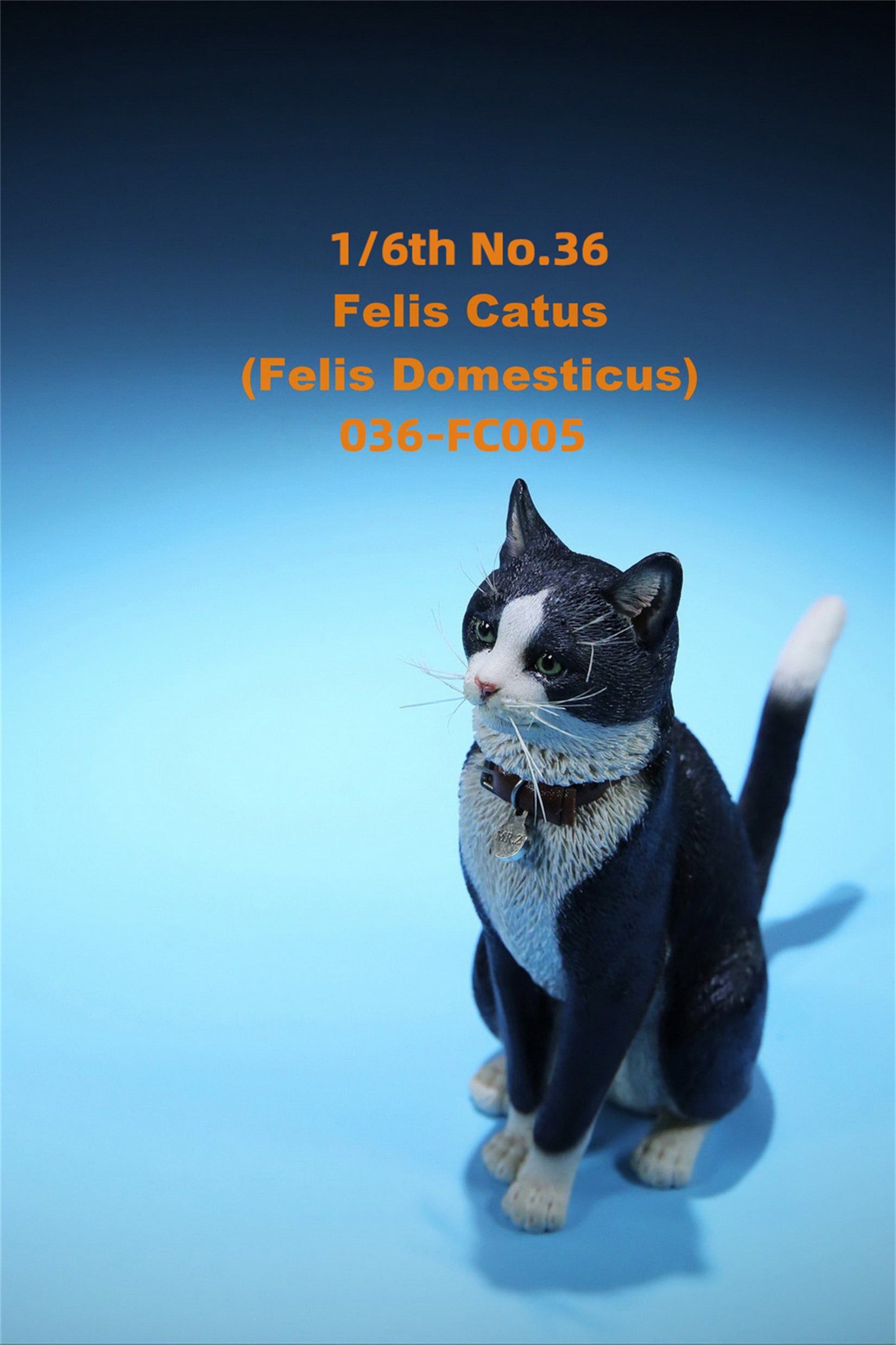 1/6 Domestic Cat Figure