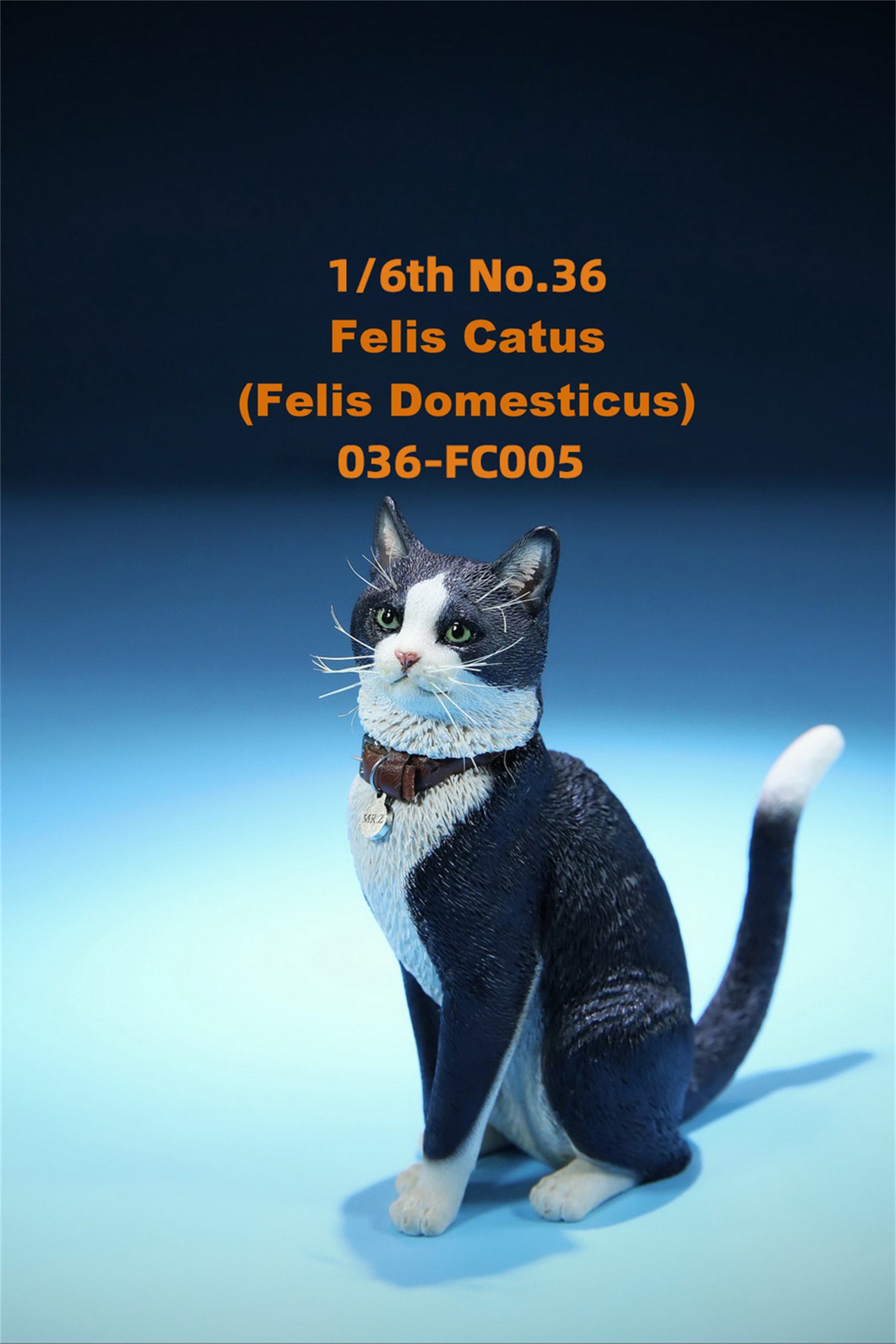 1/6 Domestic Cat Figure