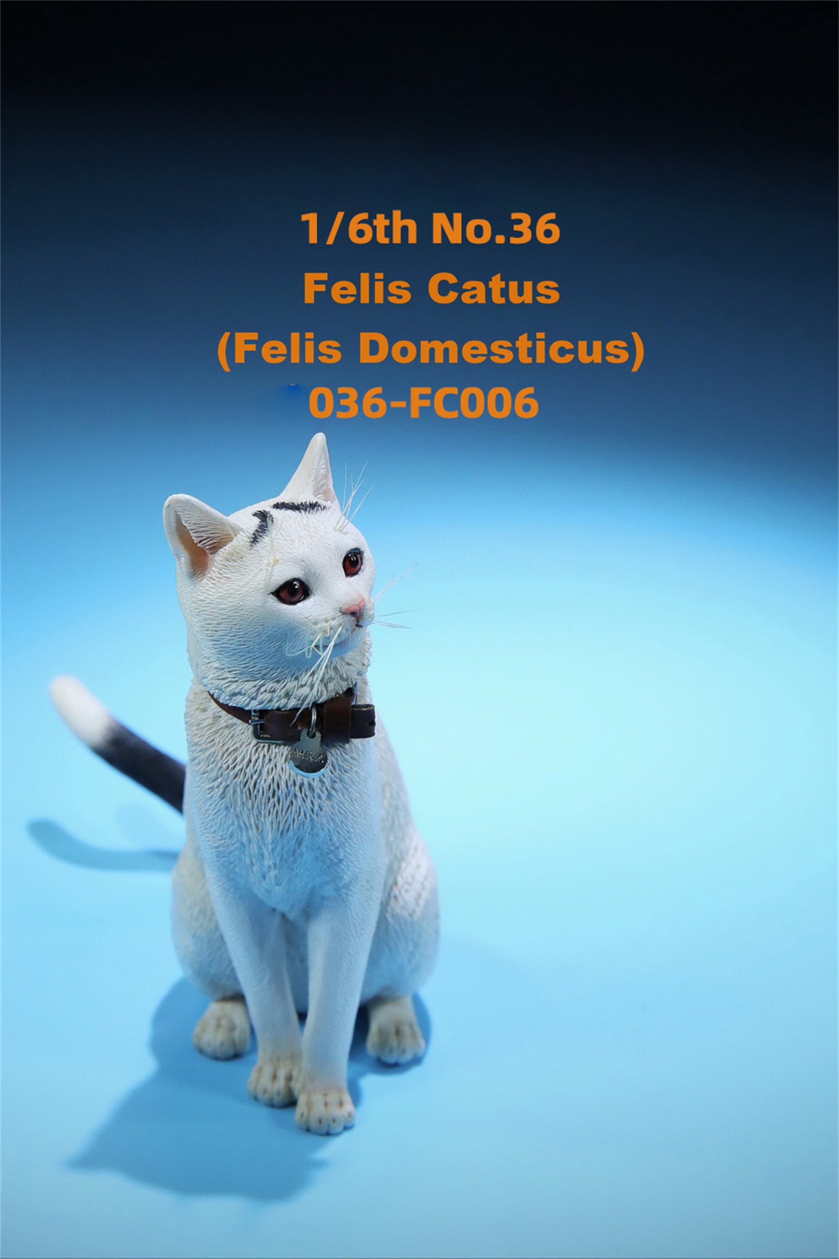 1/6 Domestic Cat Figure