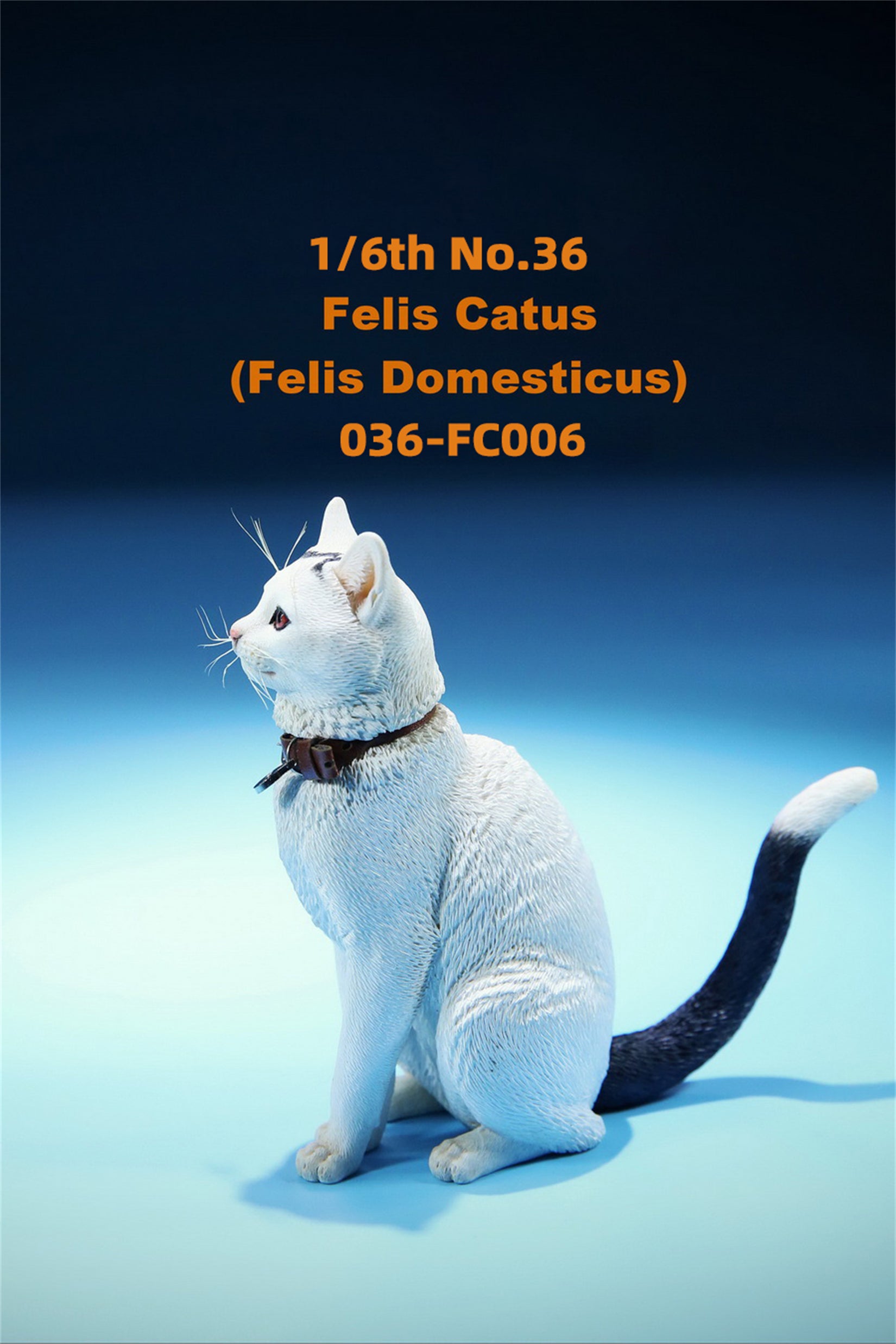 1/6 Domestic Cat Figure