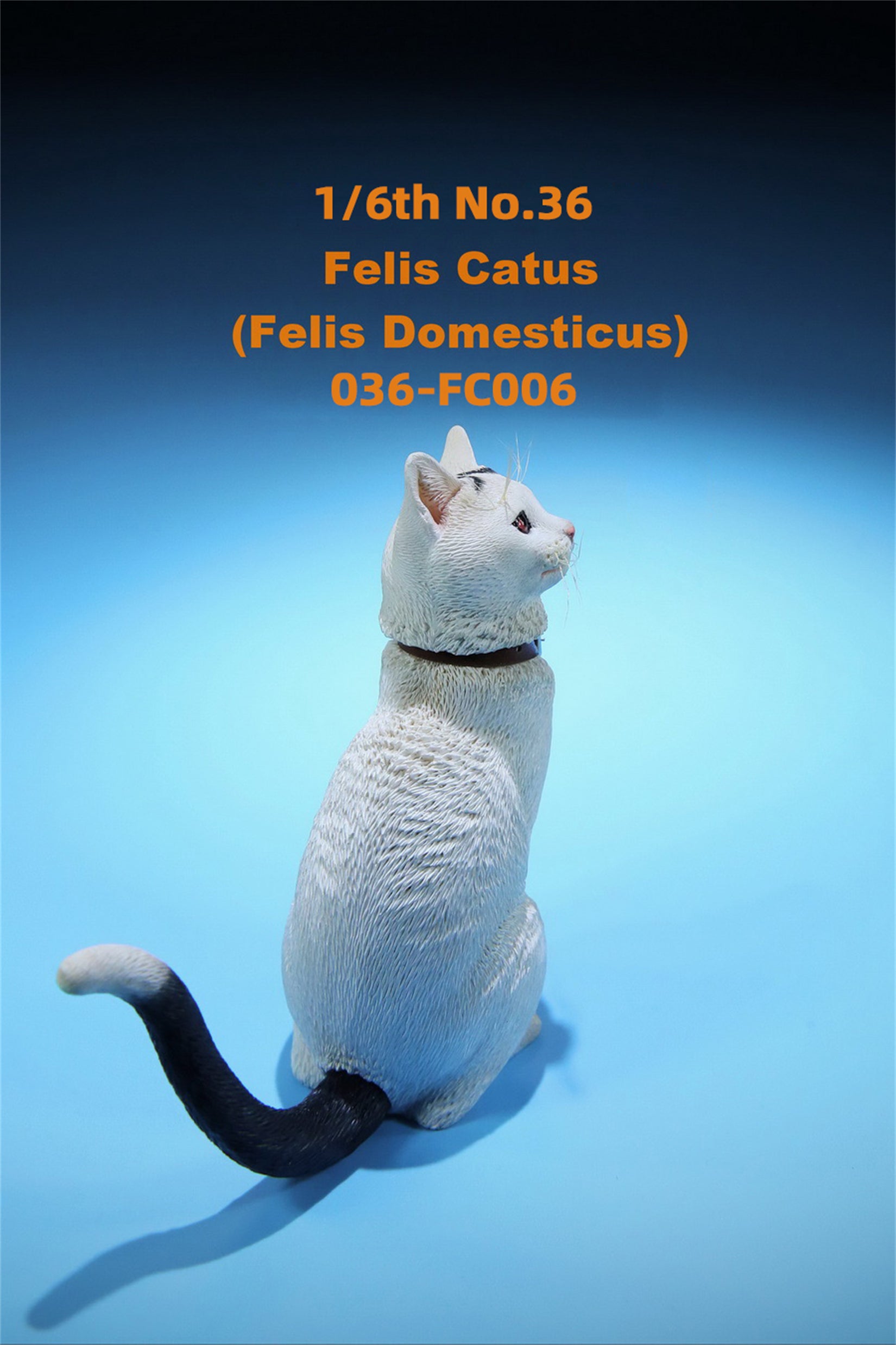 1/6 Domestic Cat Figure