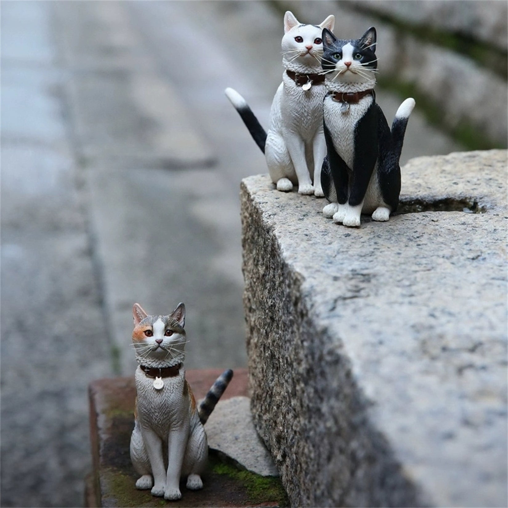 1/6 Domestic Cat Figure