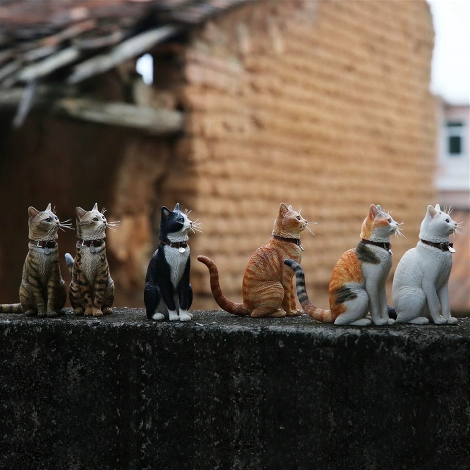 1/6 Domestic Cat Figure