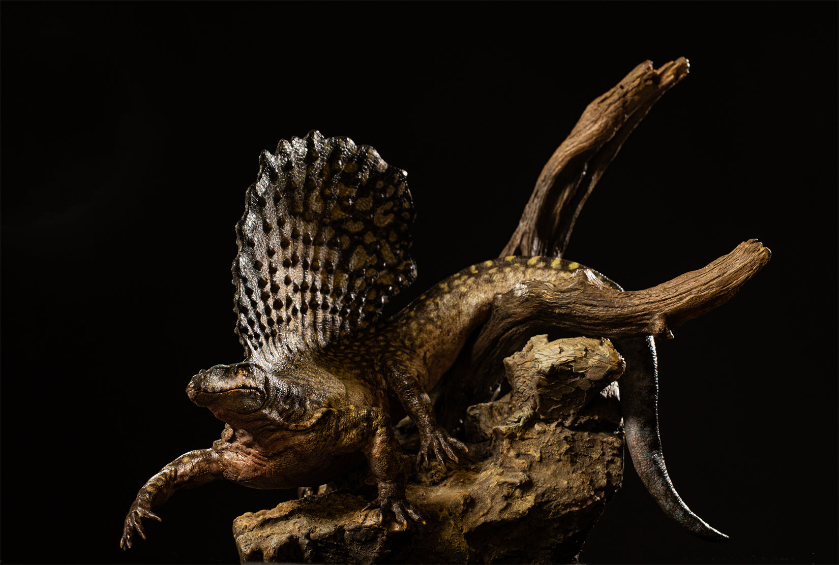 DM 1:5 Scale Edaphosaurus Scene Model