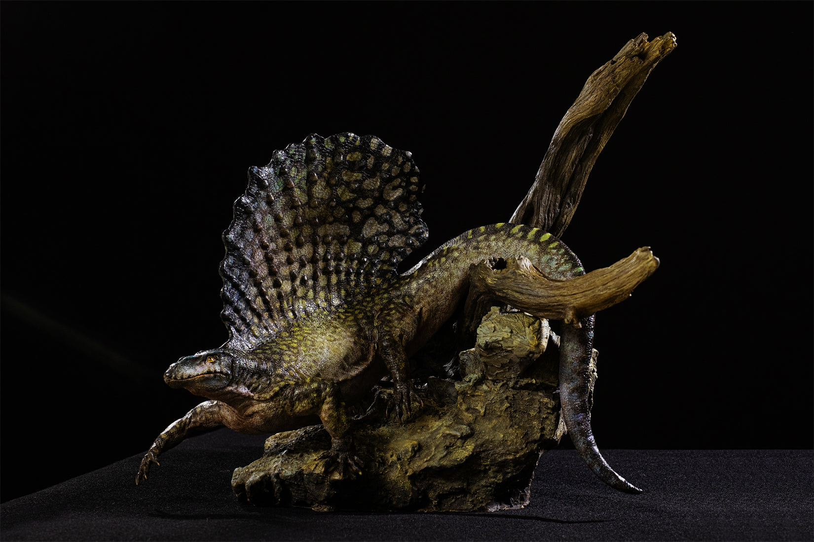 DM 1:5 Scale Edaphosaurus Scene Model