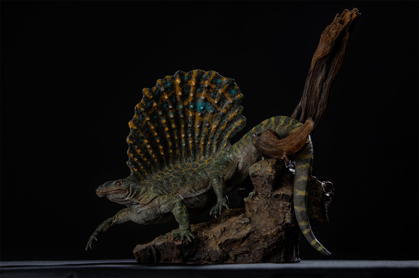 DM 1:5 Scale Edaphosaurus Scene Model