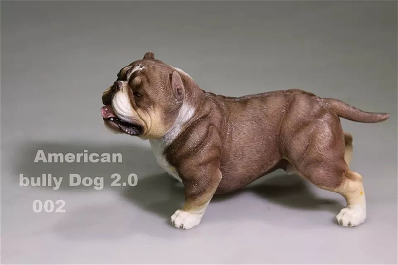American Bully Pitbull Figure