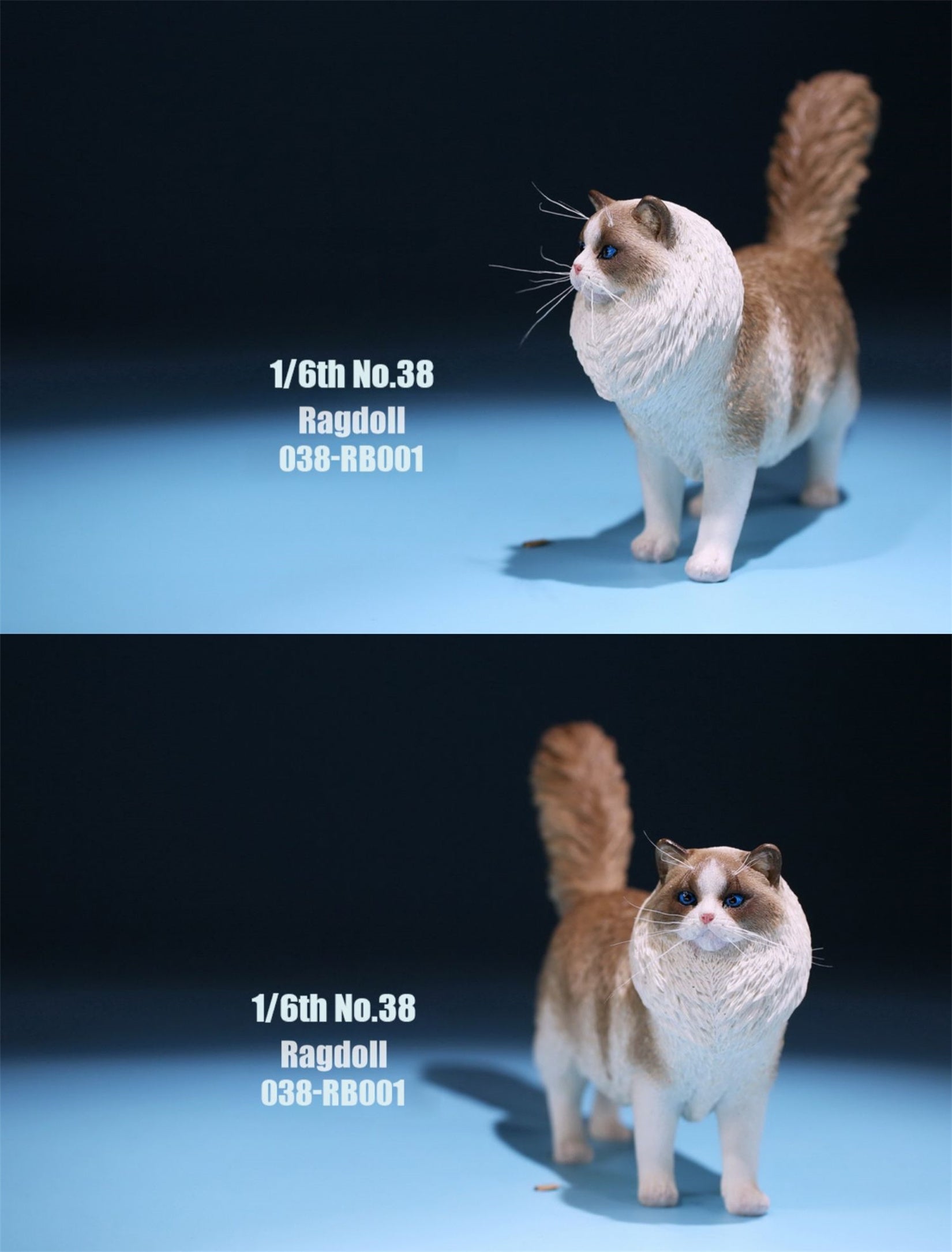 1/6 Ragdoll Figure