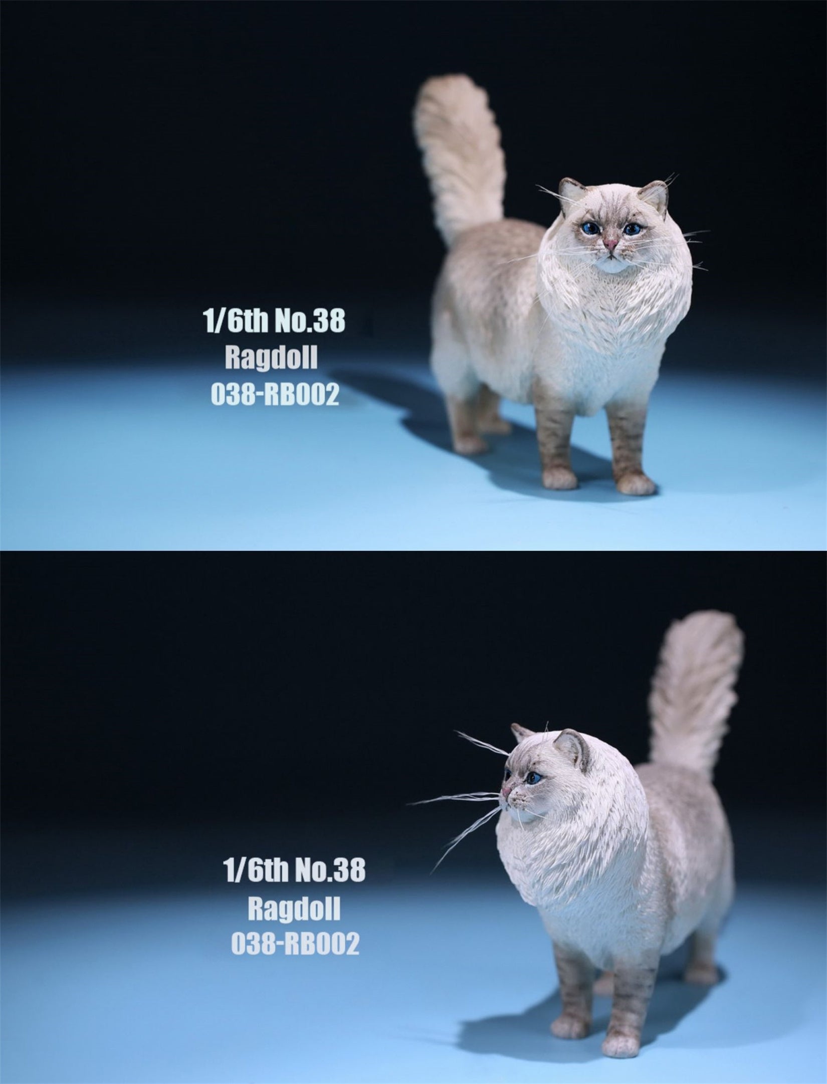 1/6 Ragdoll Figure