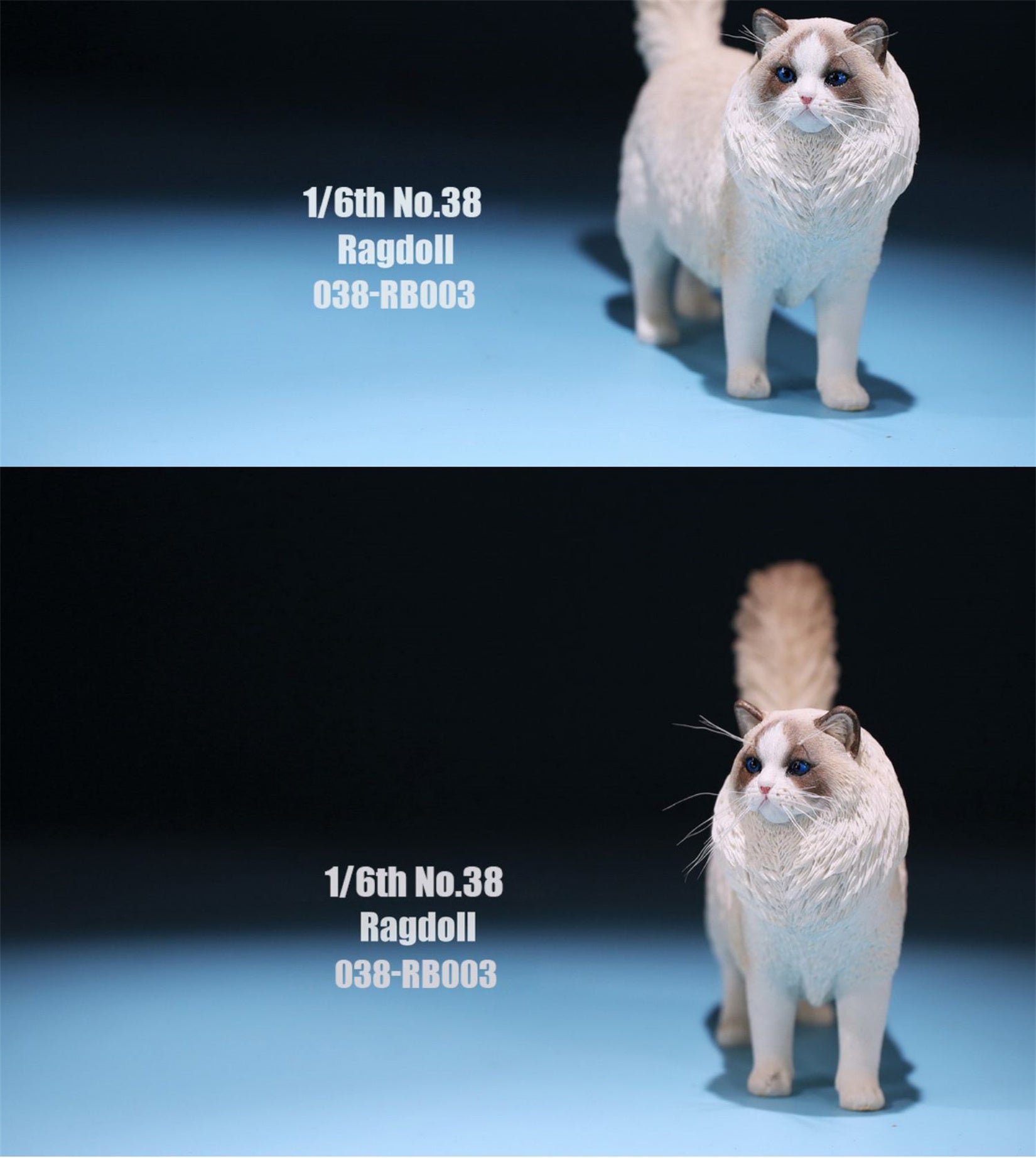 1/6 Ragdoll Figure