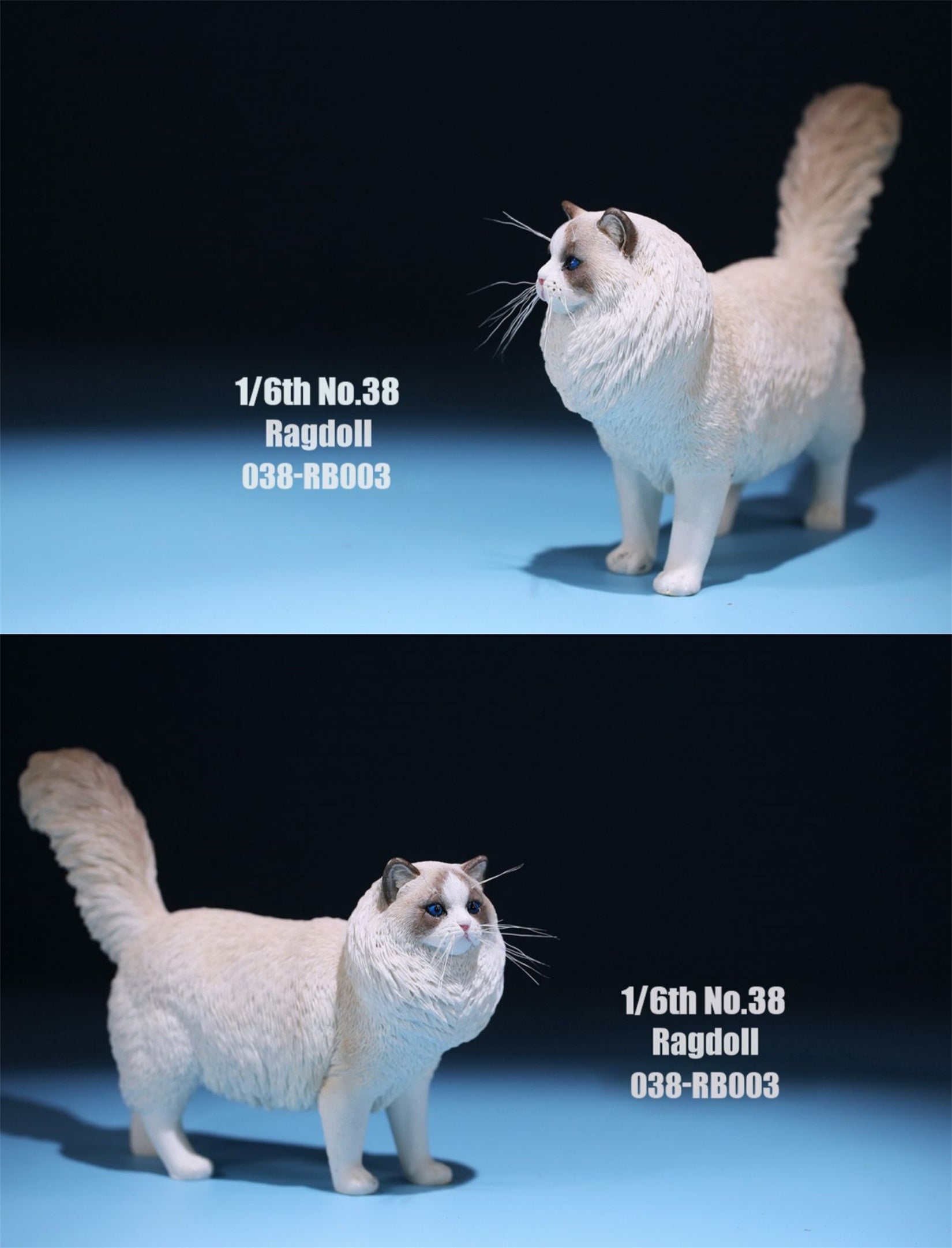 1/6 Ragdoll Figure