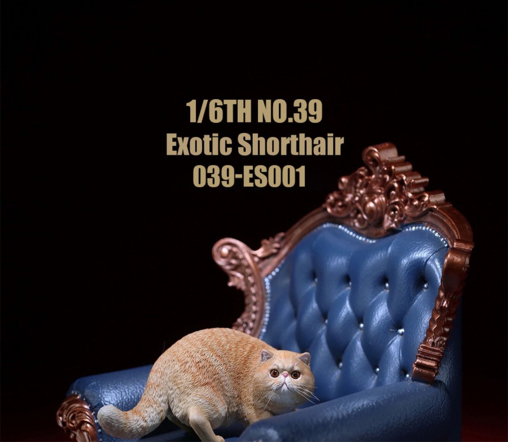 1/6 Exotic Shorthair Figure