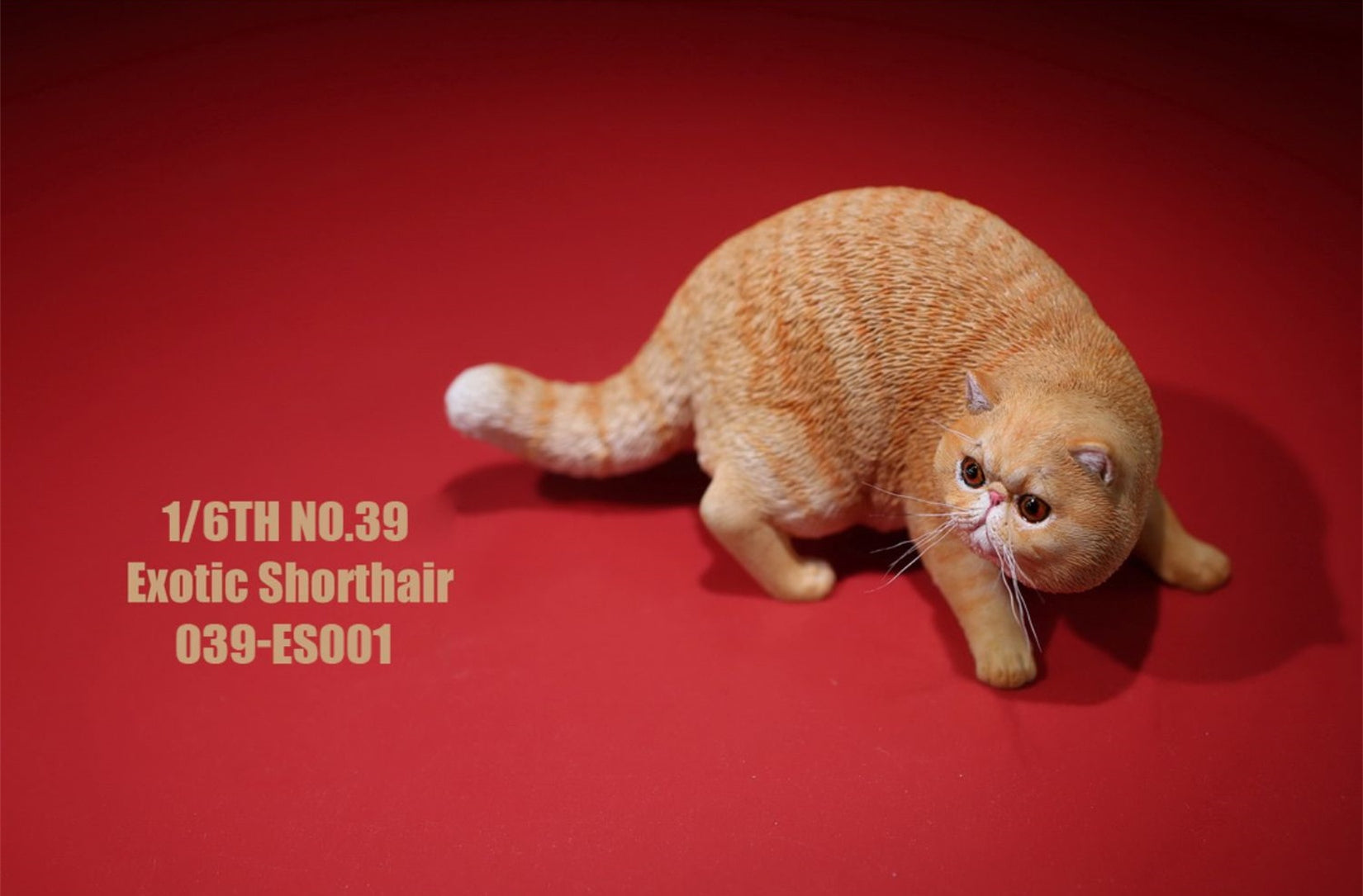 1/6 Exotic Shorthair Figure