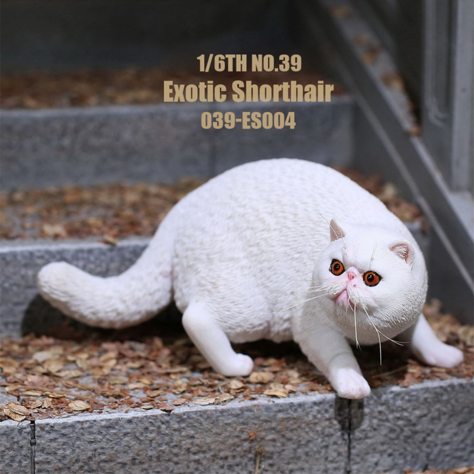 1/6 Exotic Shorthair Figure