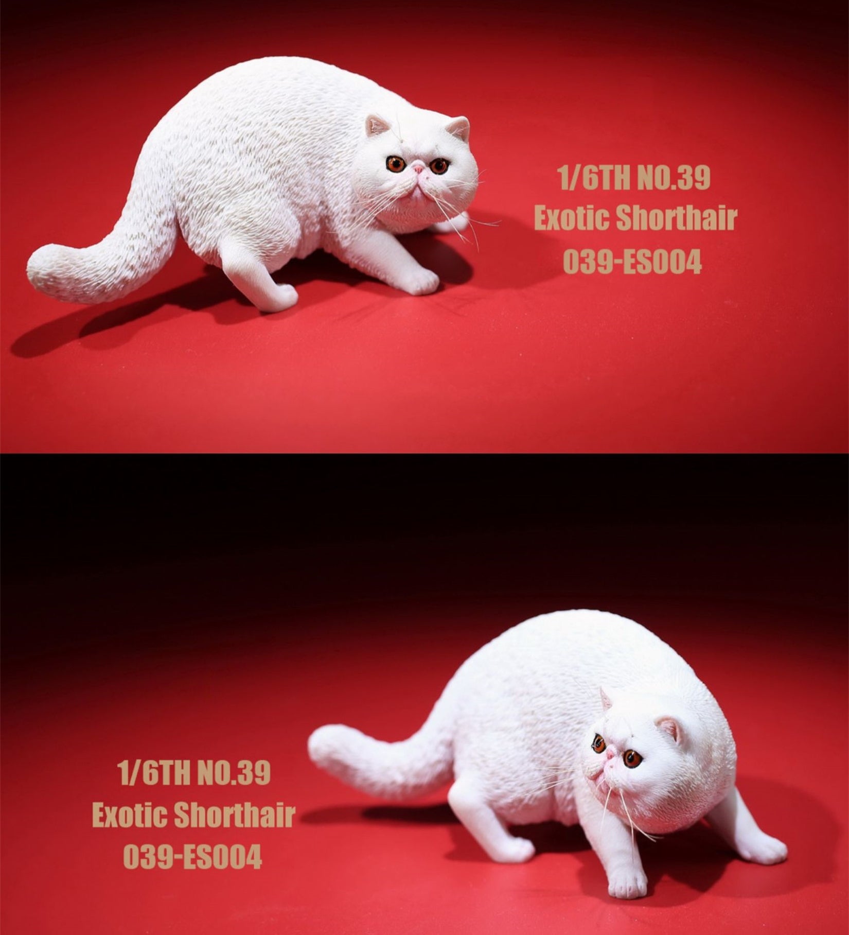 1/6 Exotic Shorthair Figure