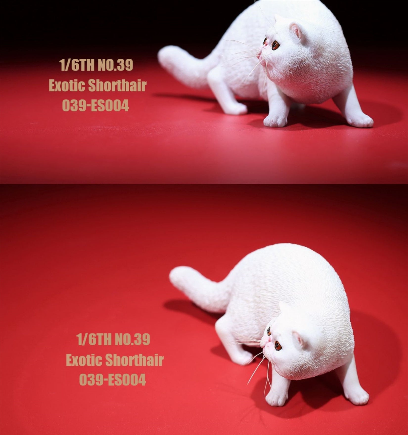1/6 Exotic Shorthair Figure