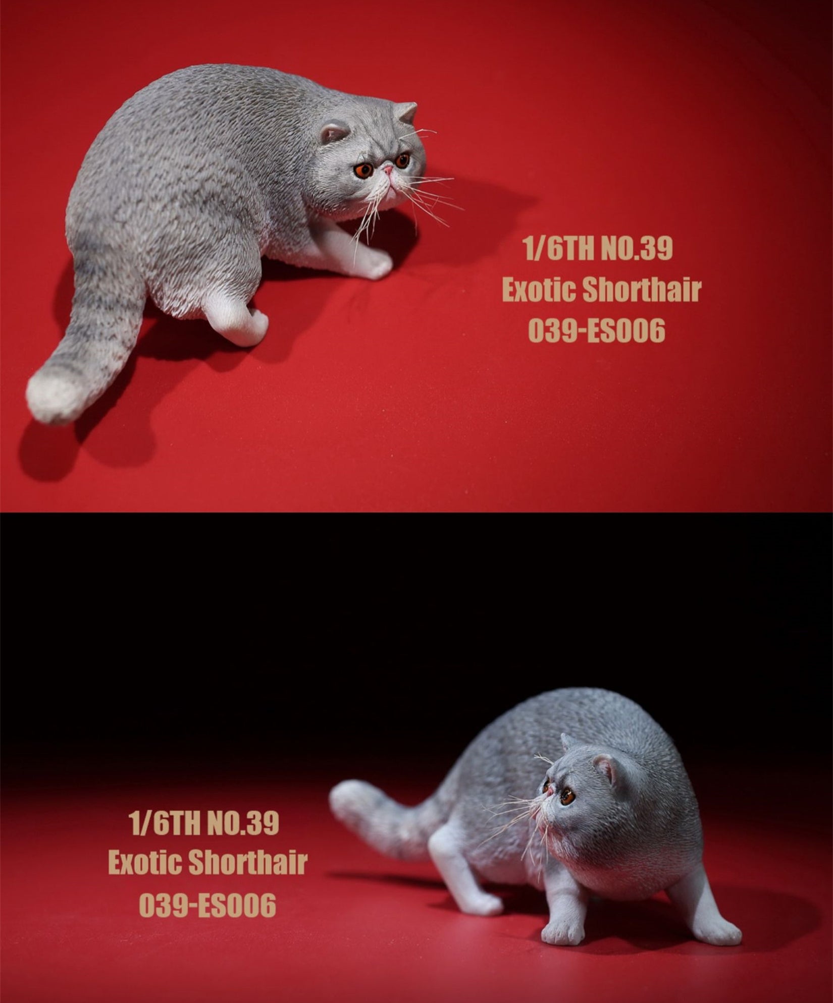 1/6 Exotic Shorthair Figure