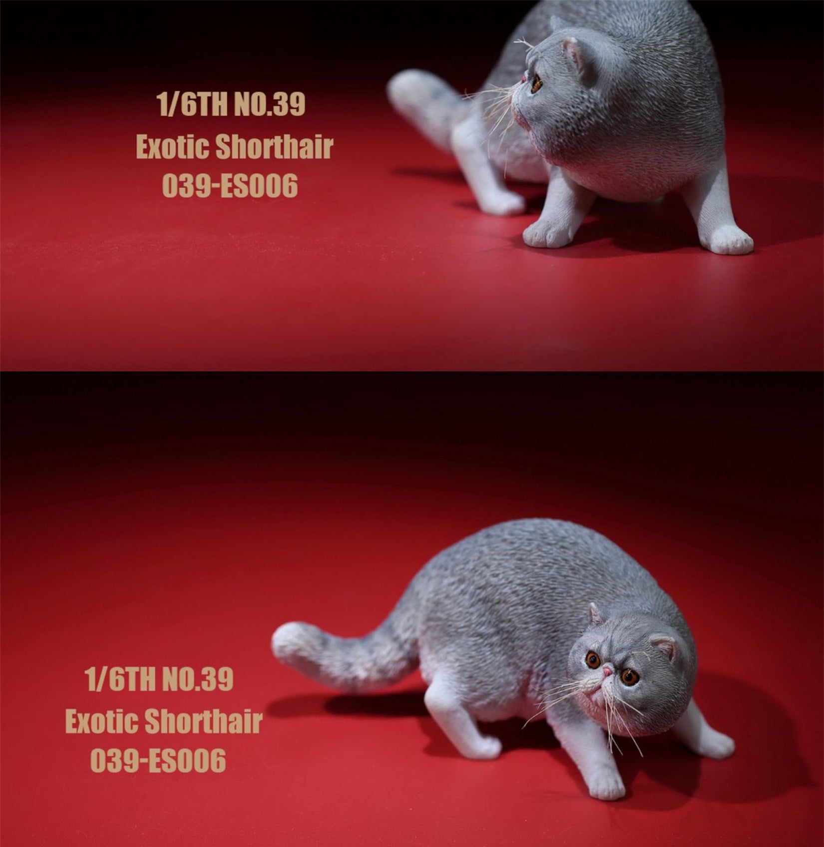 1/6 Exotic Shorthair Figure