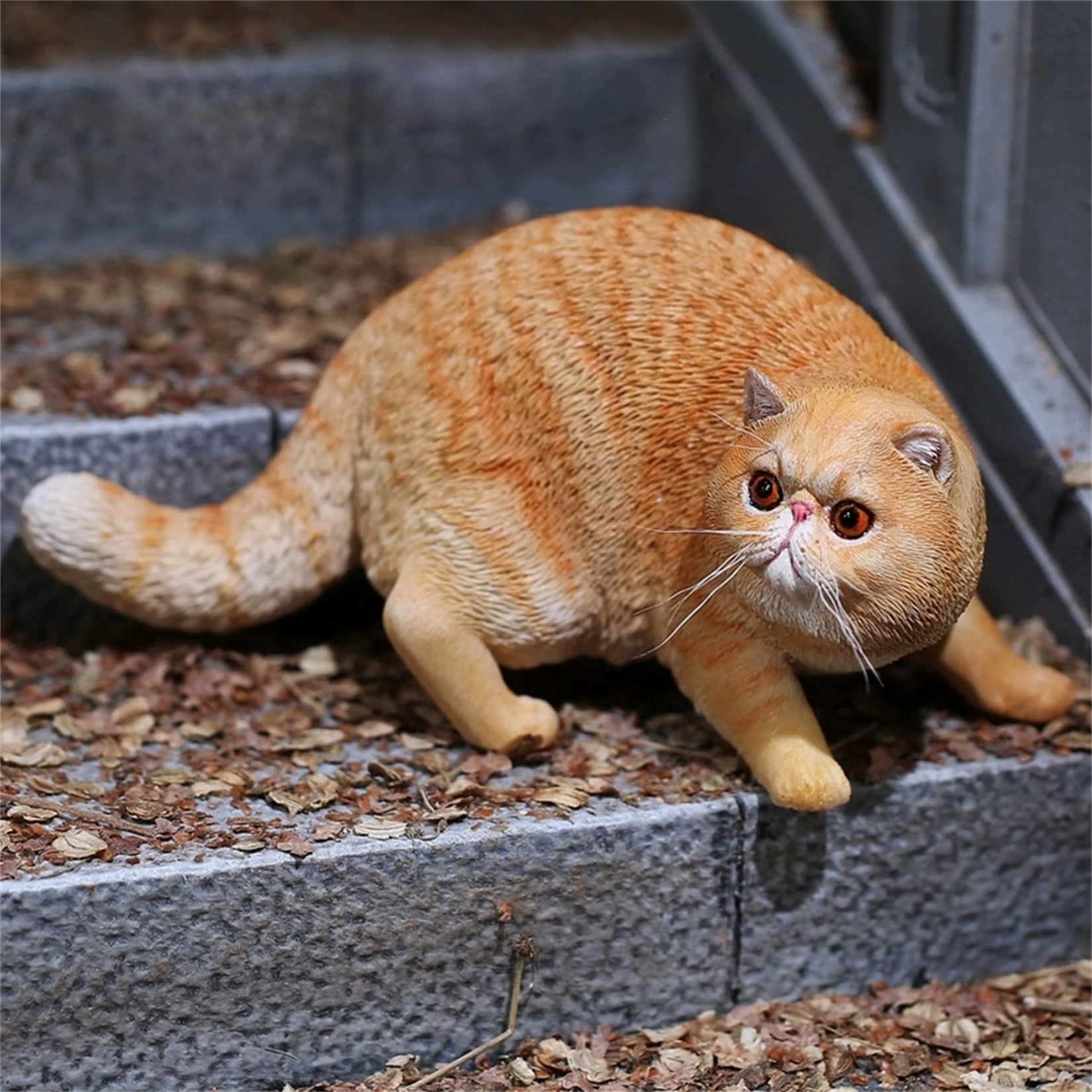 1/6 Exotic Shorthair Figure