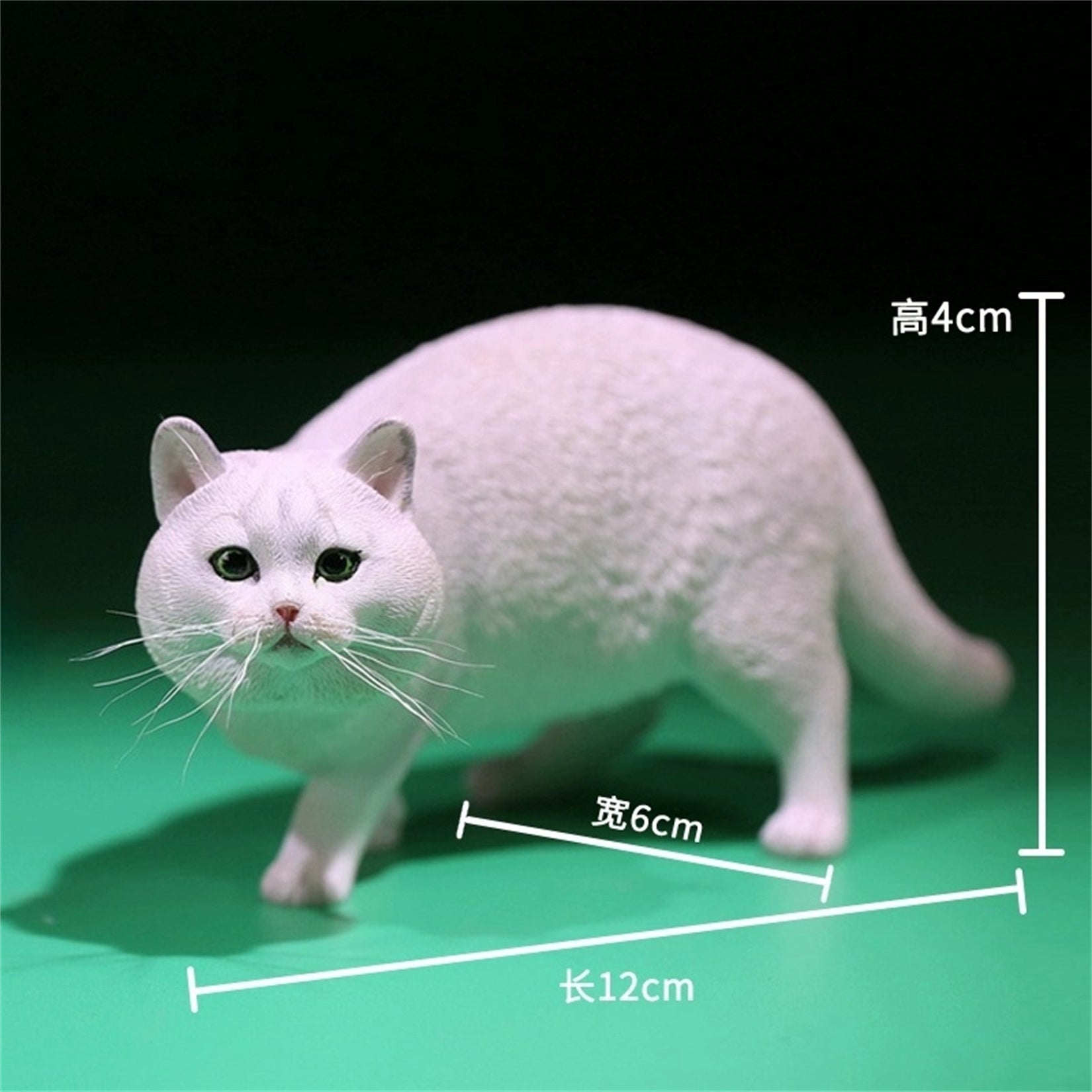 1/6 British Shorthair Figure