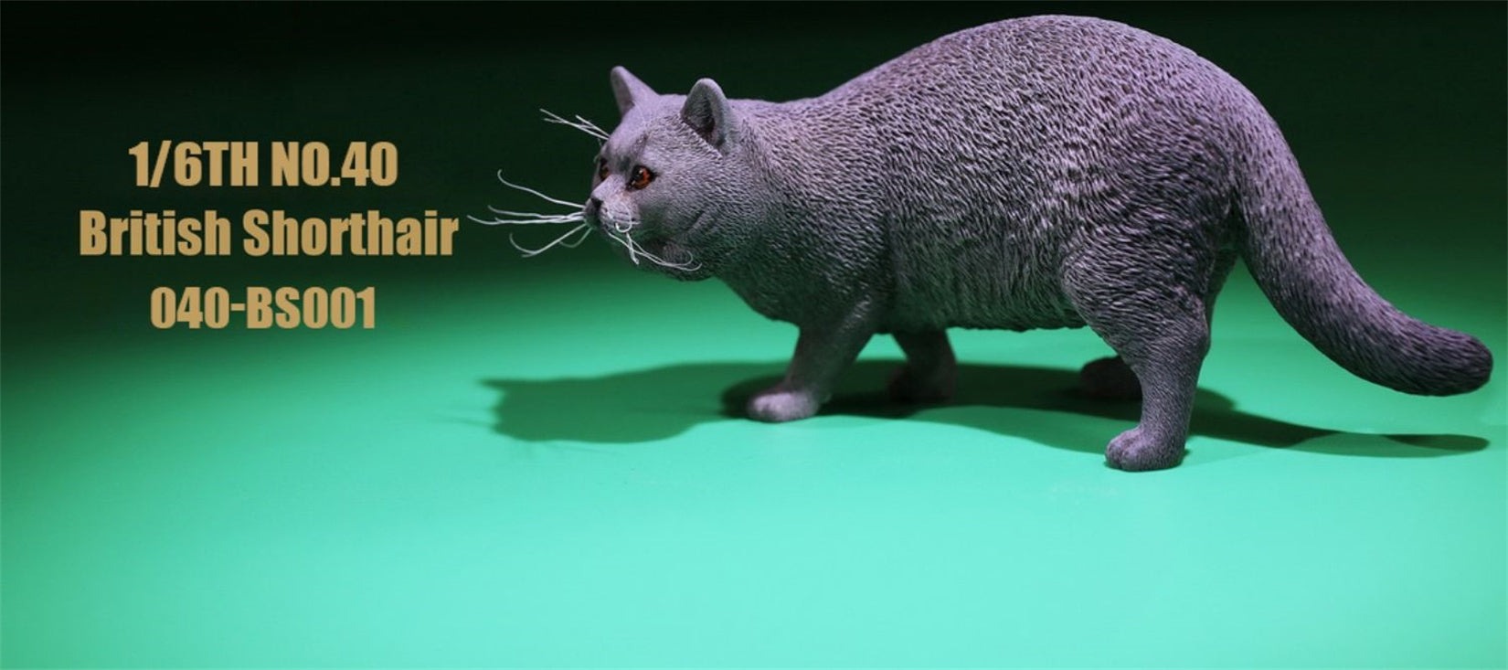 1/6 British Shorthair Figure