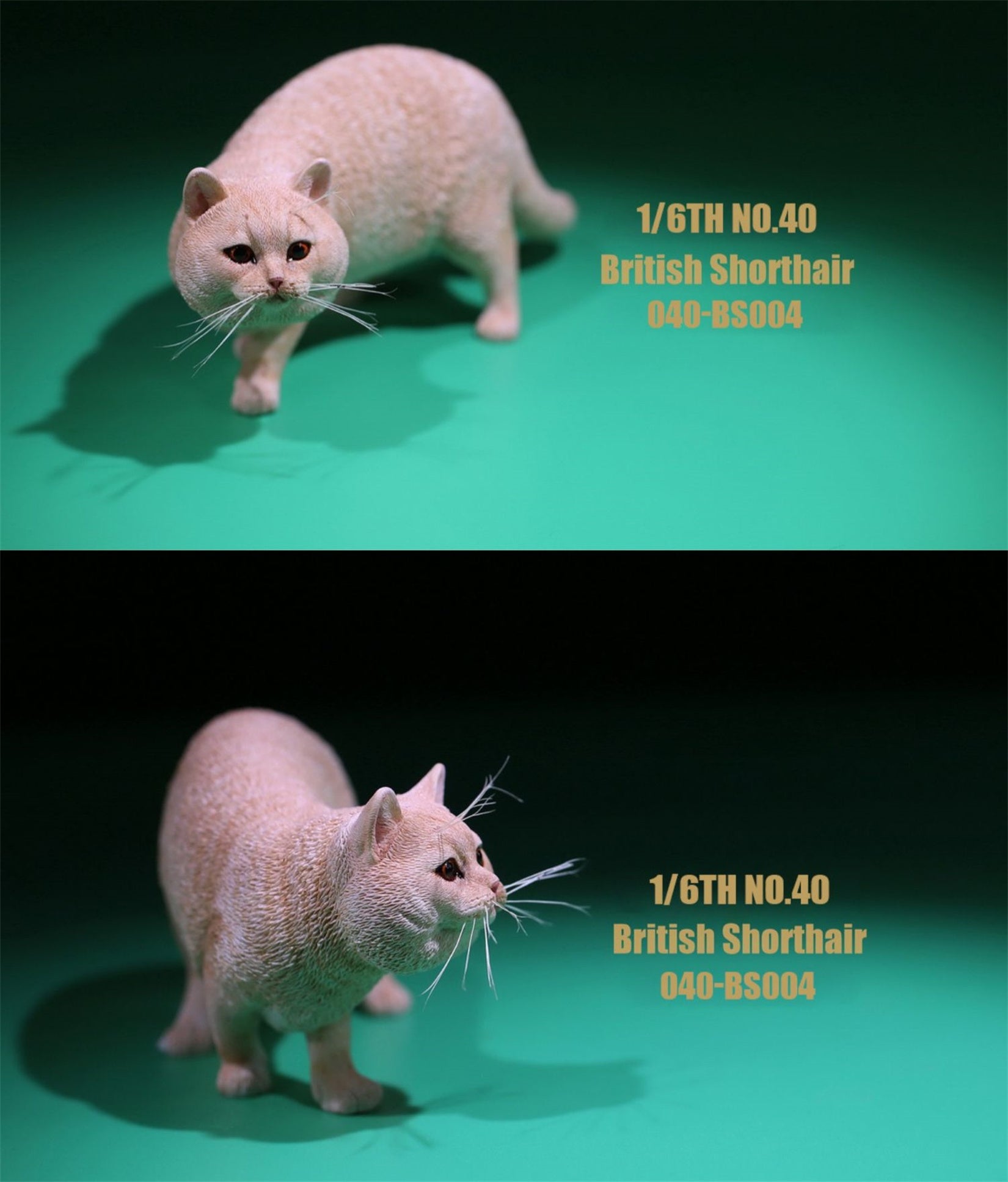 1/6 British Shorthair Figure