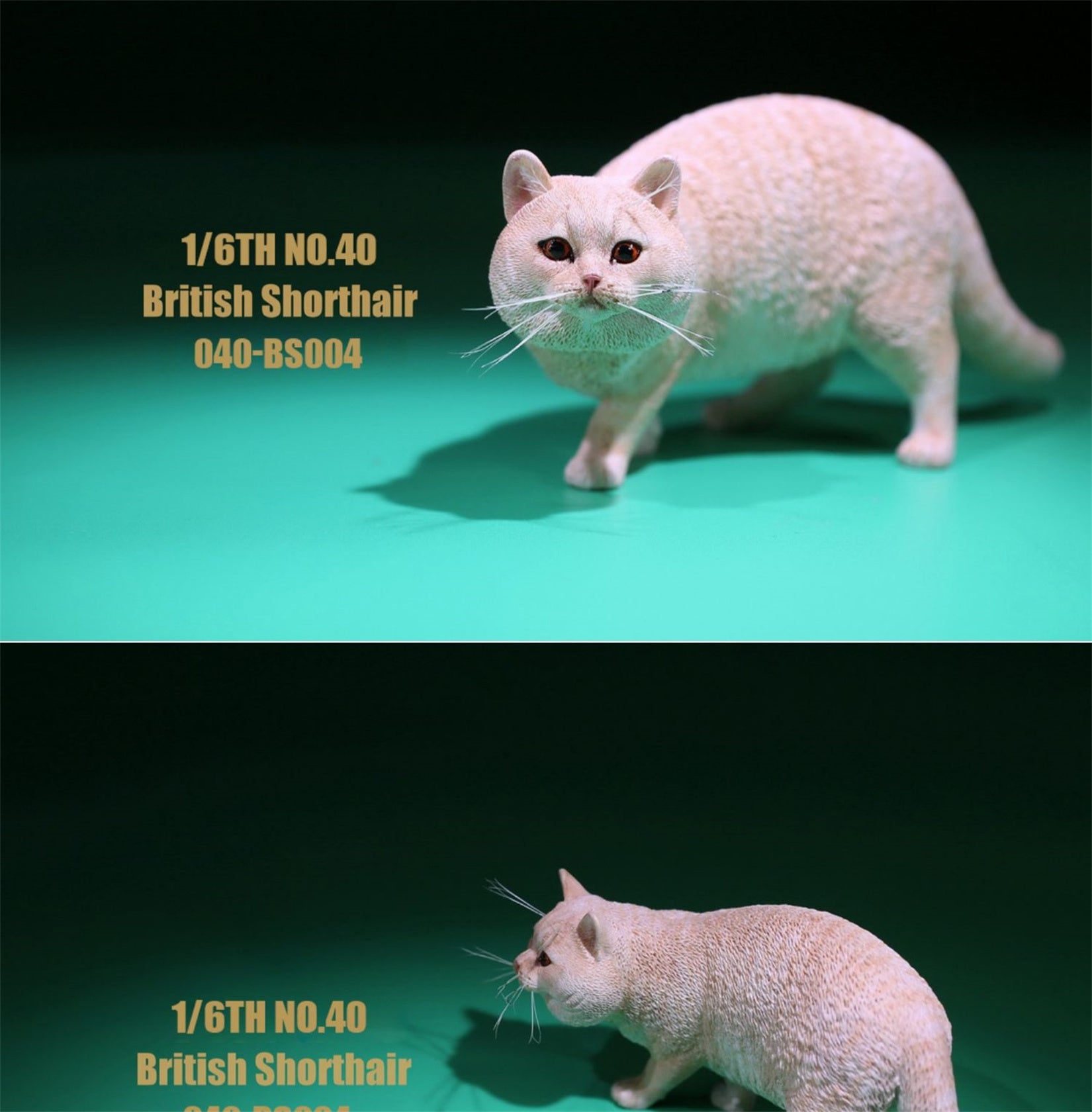 1/6 British Shorthair Figure