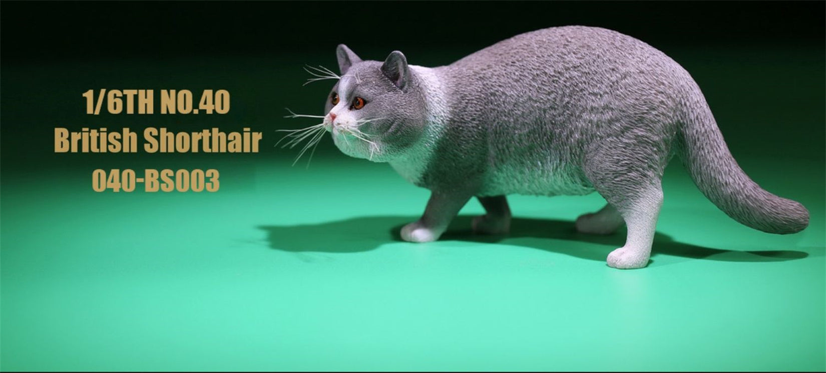 1/6 British Shorthair Figure