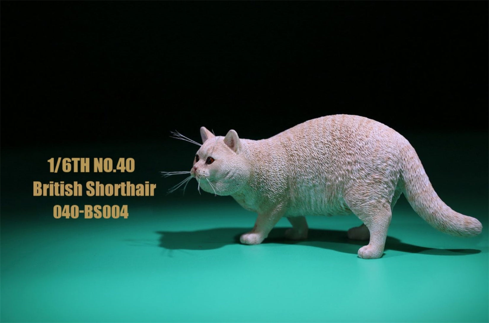 1/6 British Shorthair Figure