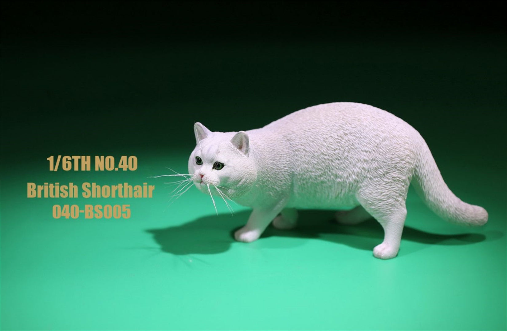 1/6 British Shorthair Figure