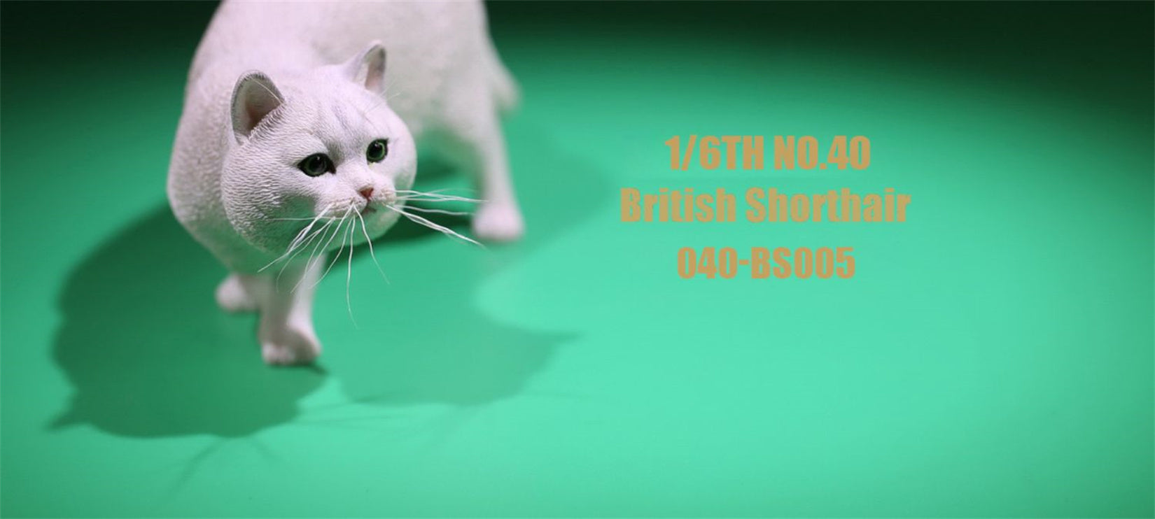 1/6 British Shorthair Figure