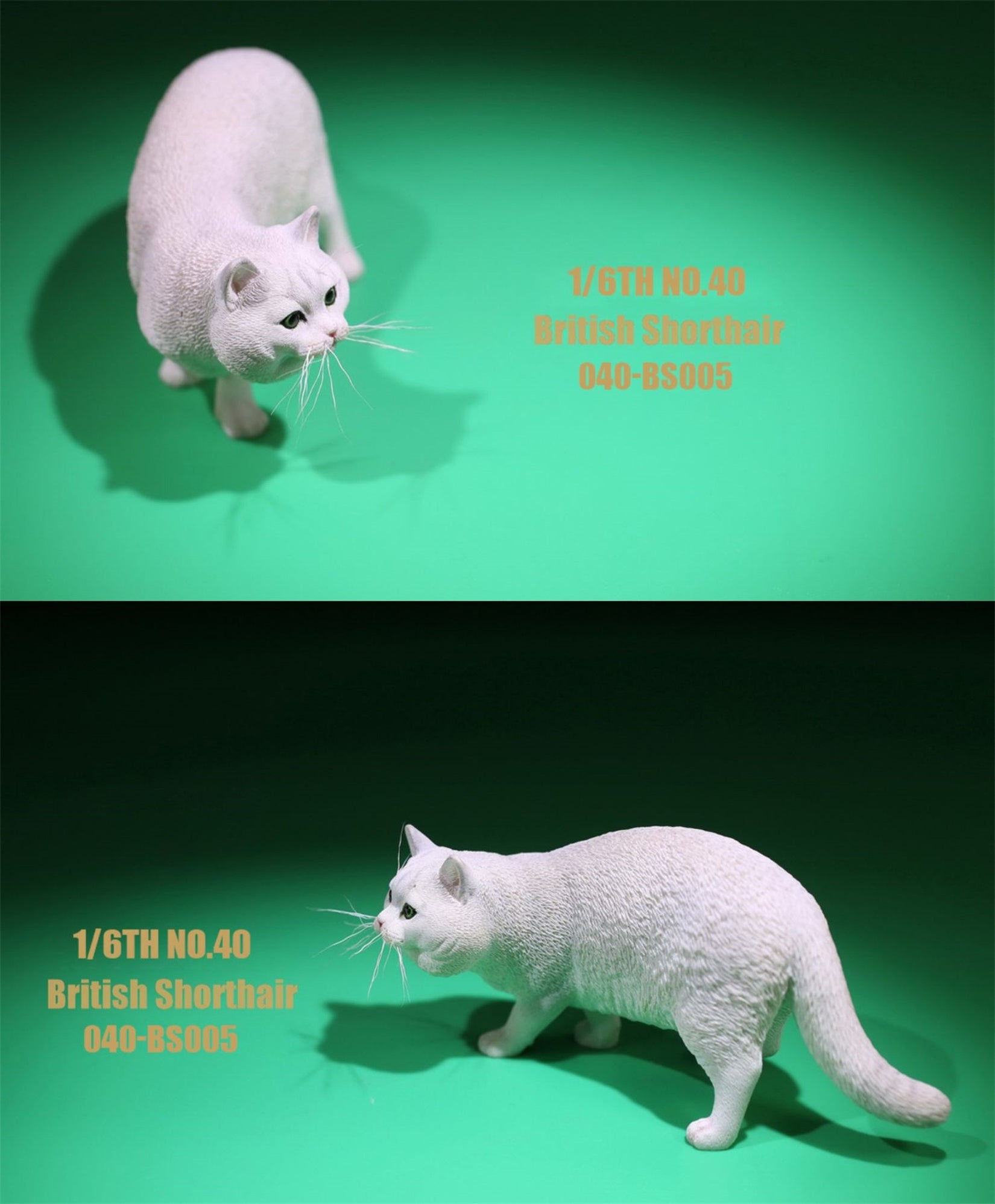 1/6 British Shorthair Figure