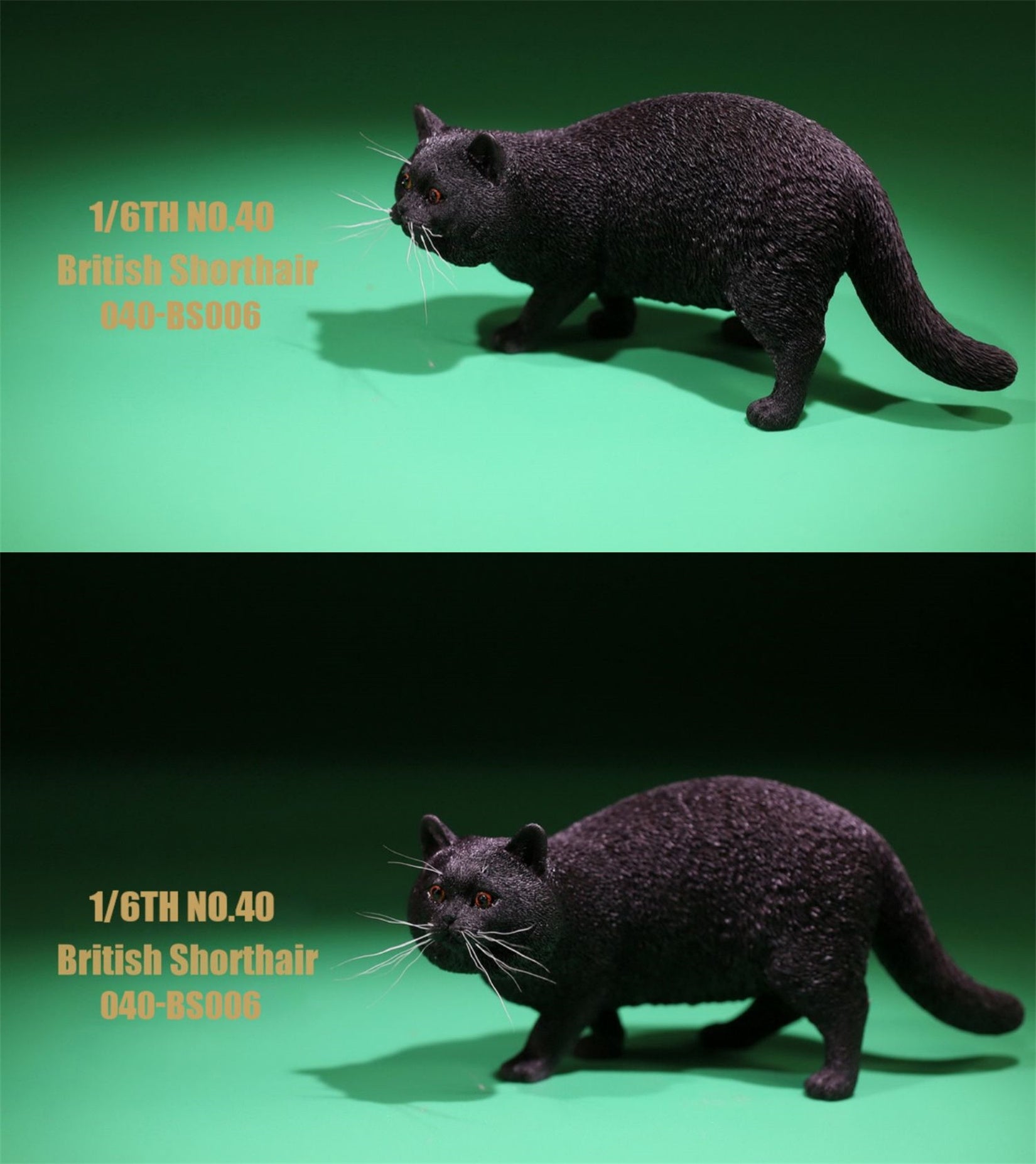 1/6 British Shorthair Figure