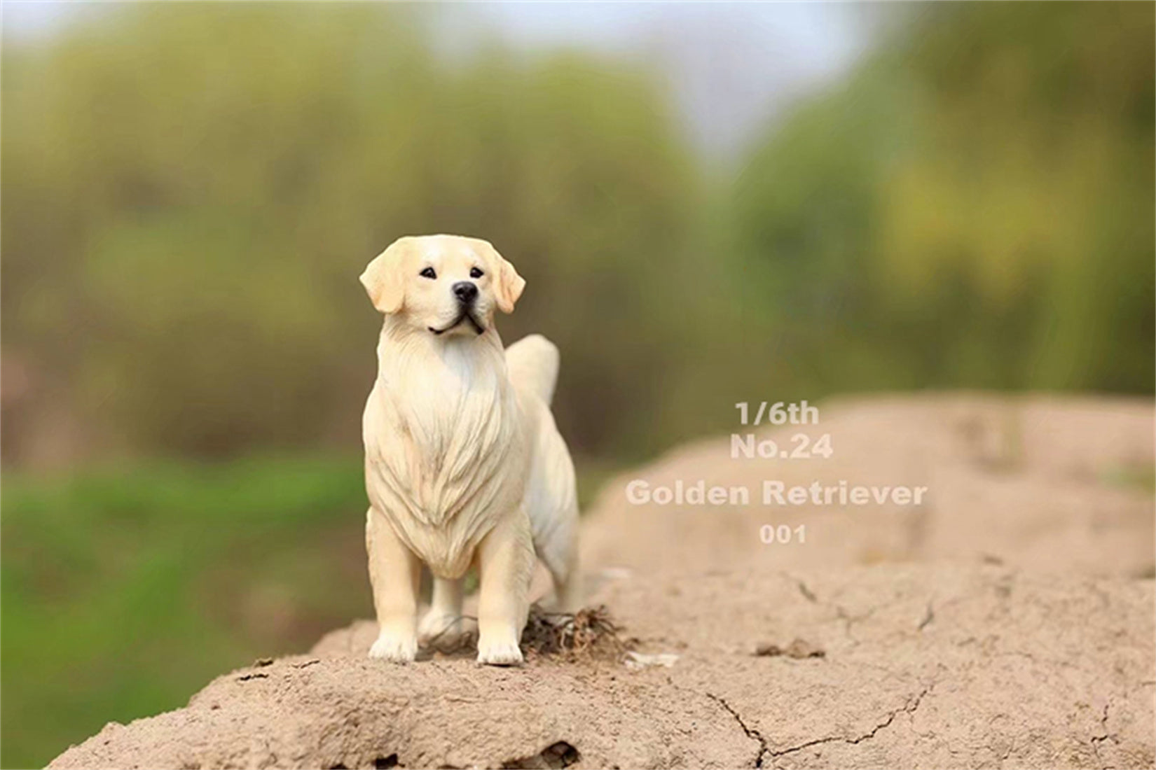 1/6 Golden Retriever Figure