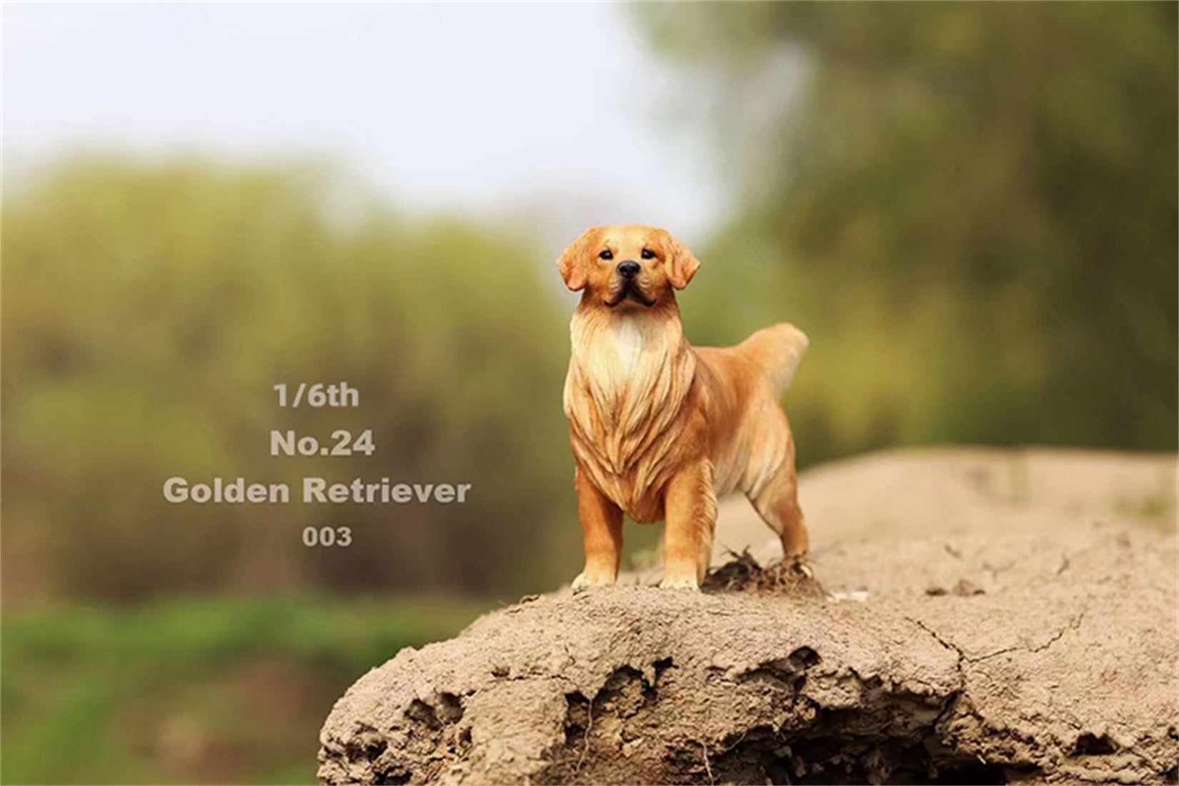 1/6 Golden Retriever Figure