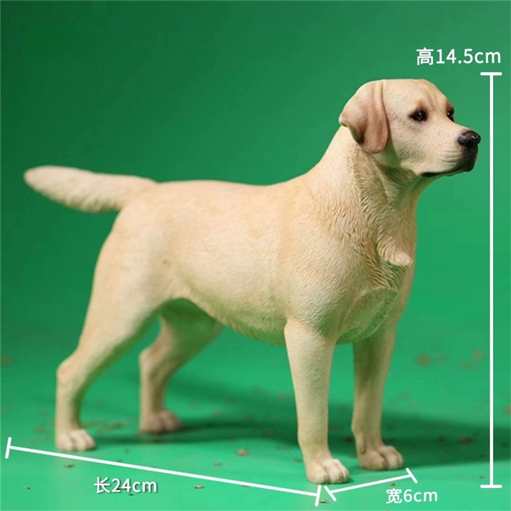 1/6 Labrador Retriever Figure